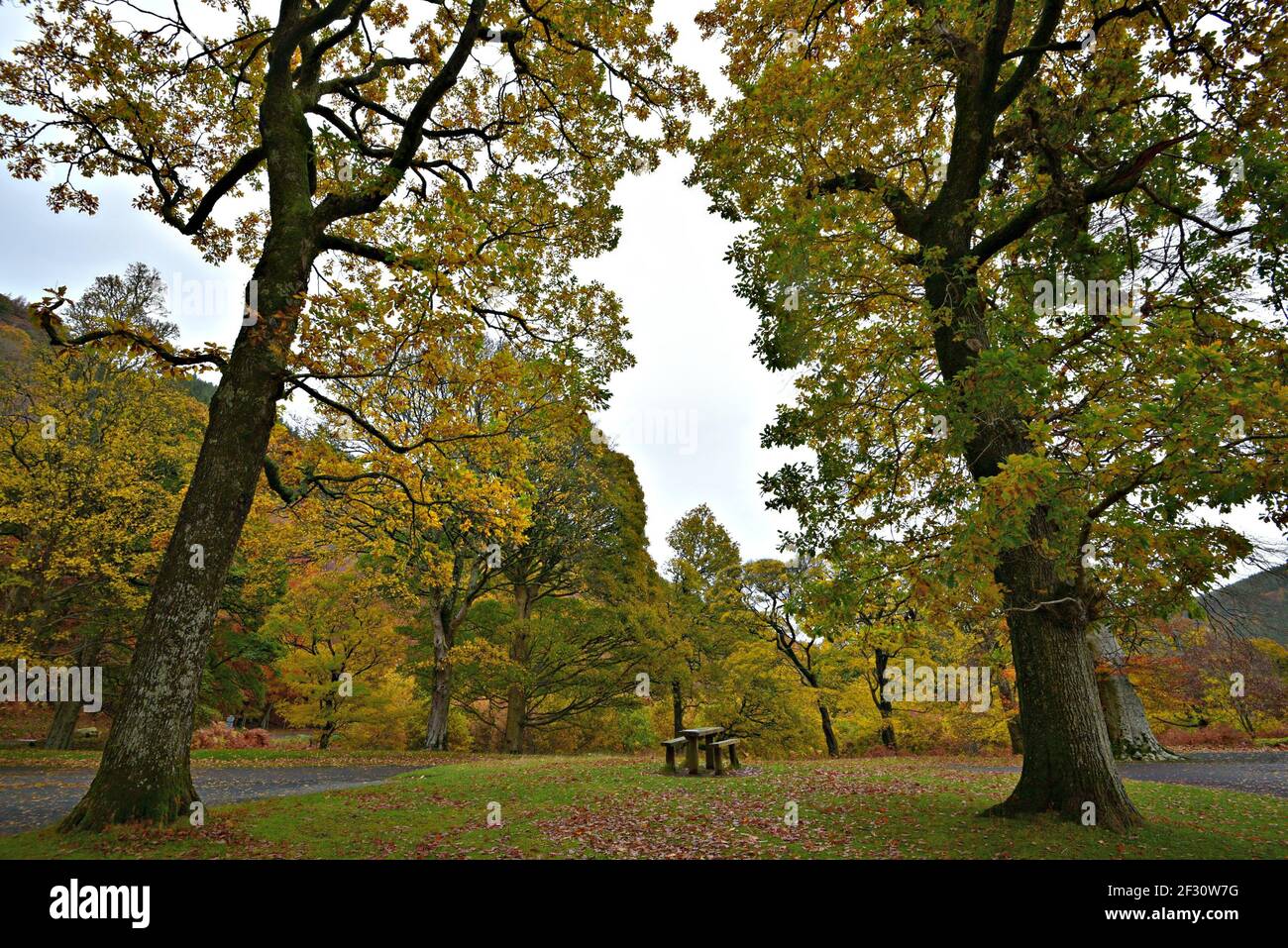 Autumn landscape at Powerscourt Gardens in the countryside of County Wicklow in Leinster, Ireland. Stock Photo