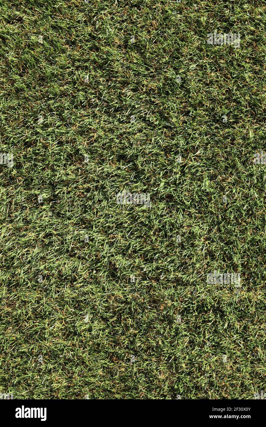 Part of the golf course as background Stock Photo Alamy