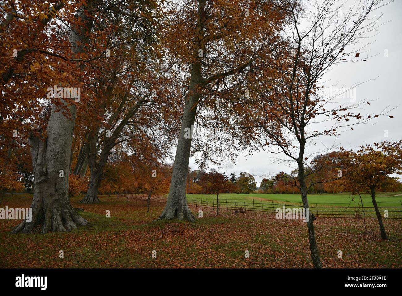 Autumn landscape at Powerscourt Gardens in the countryside of County Wicklow in Leinster, Ireland. Stock Photo