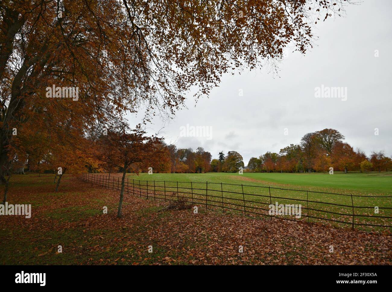 Autumn landscape at Powerscourt Gardens in the countryside of County Wicklow in Leinster, Ireland. Stock Photo