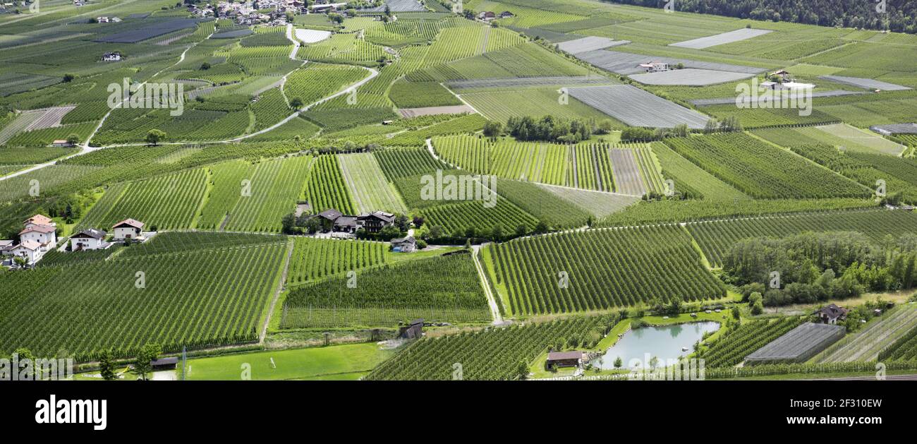 Beautiful South Tirol panorama in the Vinschgau with apple orchards. Stock Photo