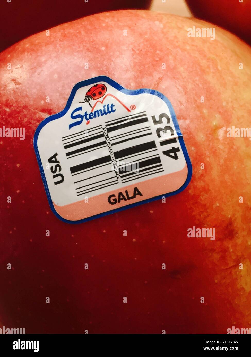 Stemit Farms Gala Apple, USA Stock Photo Alamy