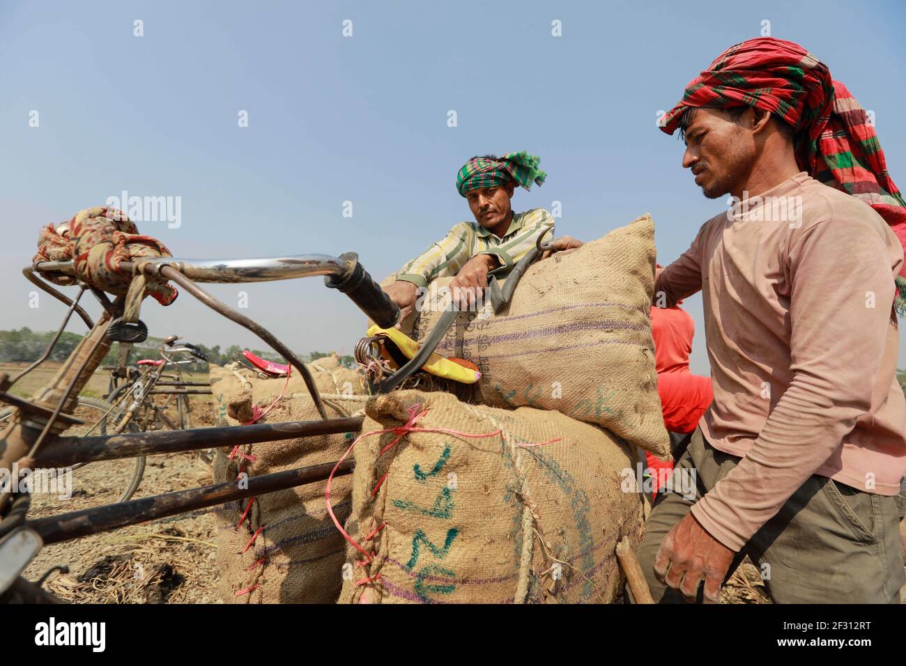 Potato price in bangladesh hires stock photography and images Alamy