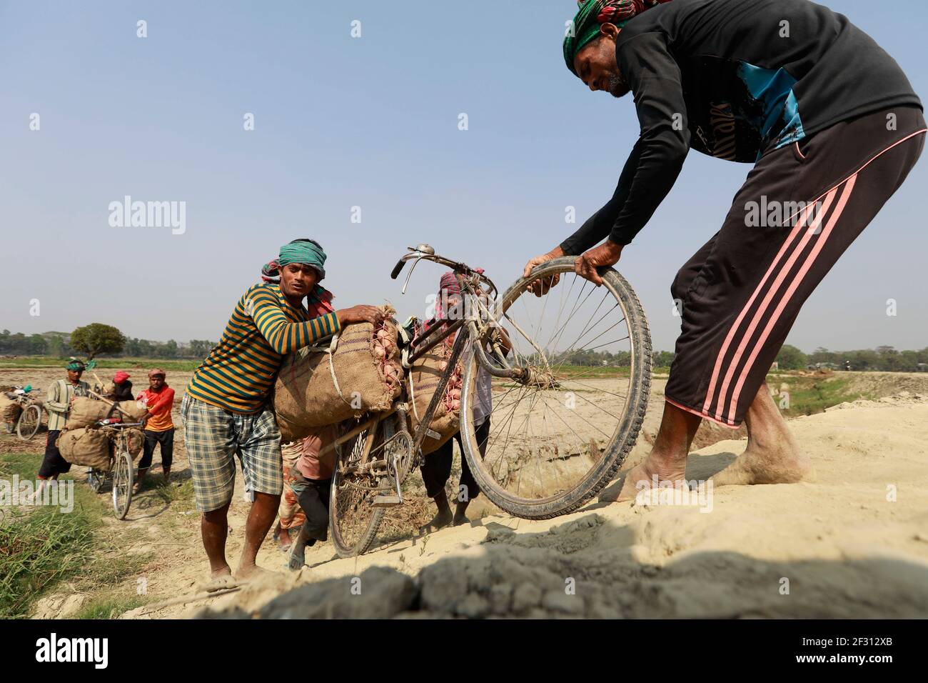 Munshigonj, Bangladesh. 14th Mar, 2021. Bangladeshi farmers carry potato on their bicycles at a village in Munshiganj, near Dhaka, Bangladesh, March 14, 2021. As the winter season draws to an end, the farmers get busy harvesting potatoes from the fields. Following a bumper production of potatoes this year, the farmers are now waiting to get a fair price for their harvests. Credit: Suvra Kanti Das/ZUMA Wire/Alamy Live News Stock Photo