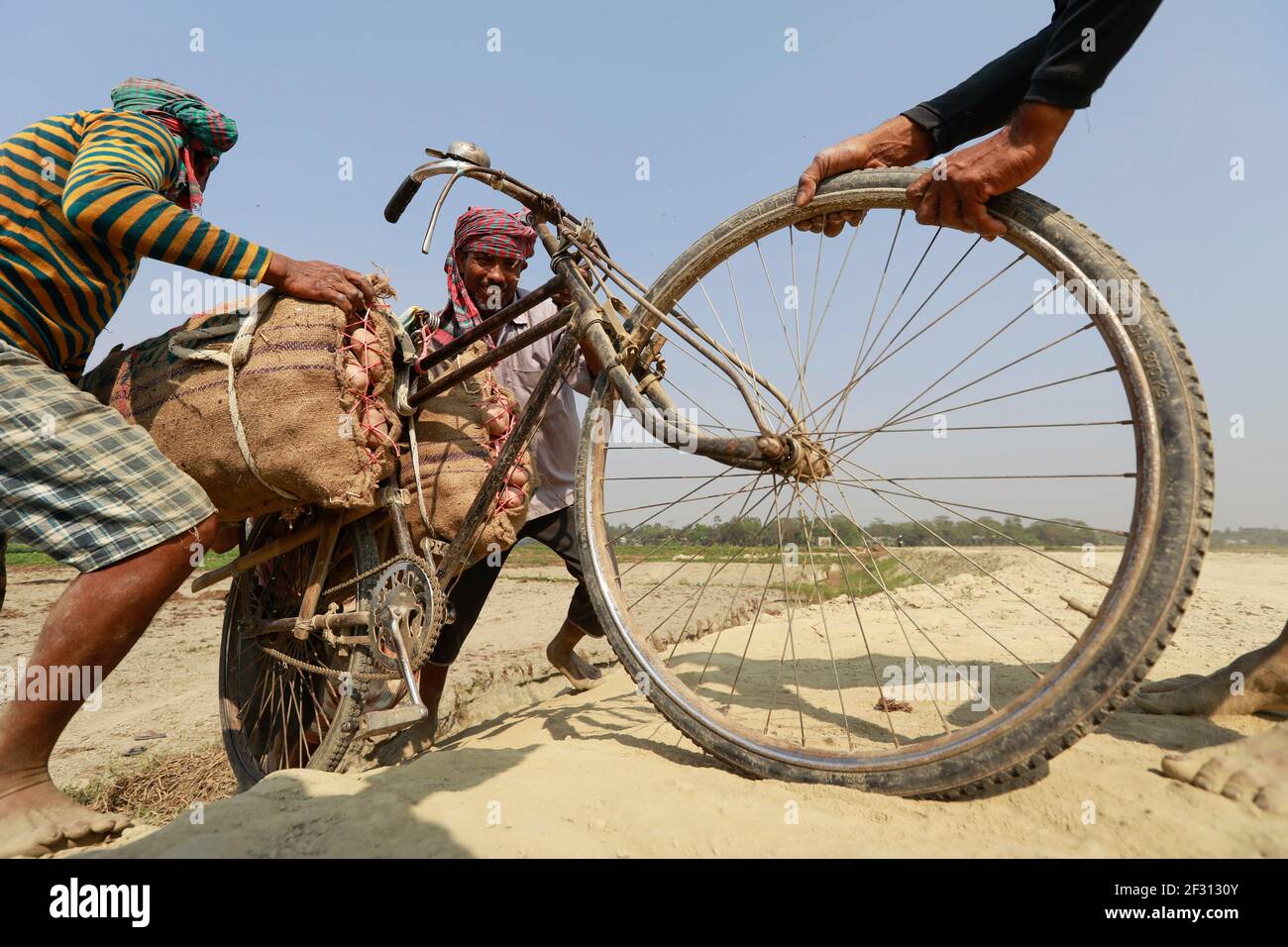 Munshigonj, Bangladesh. 14th Mar, 2021. Bangladeshi farmers carry potato on their bicycles at a village in Munshiganj, near Dhaka, Bangladesh, March 14, 2021. As the winter season draws to an end, the farmers get busy harvesting potatoes from the fields. Following a bumper production of potatoes this year, the farmers are now waiting to get a fair price for their harvests. Credit: Suvra Kanti Das/ZUMA Wire/Alamy Live News Stock Photo