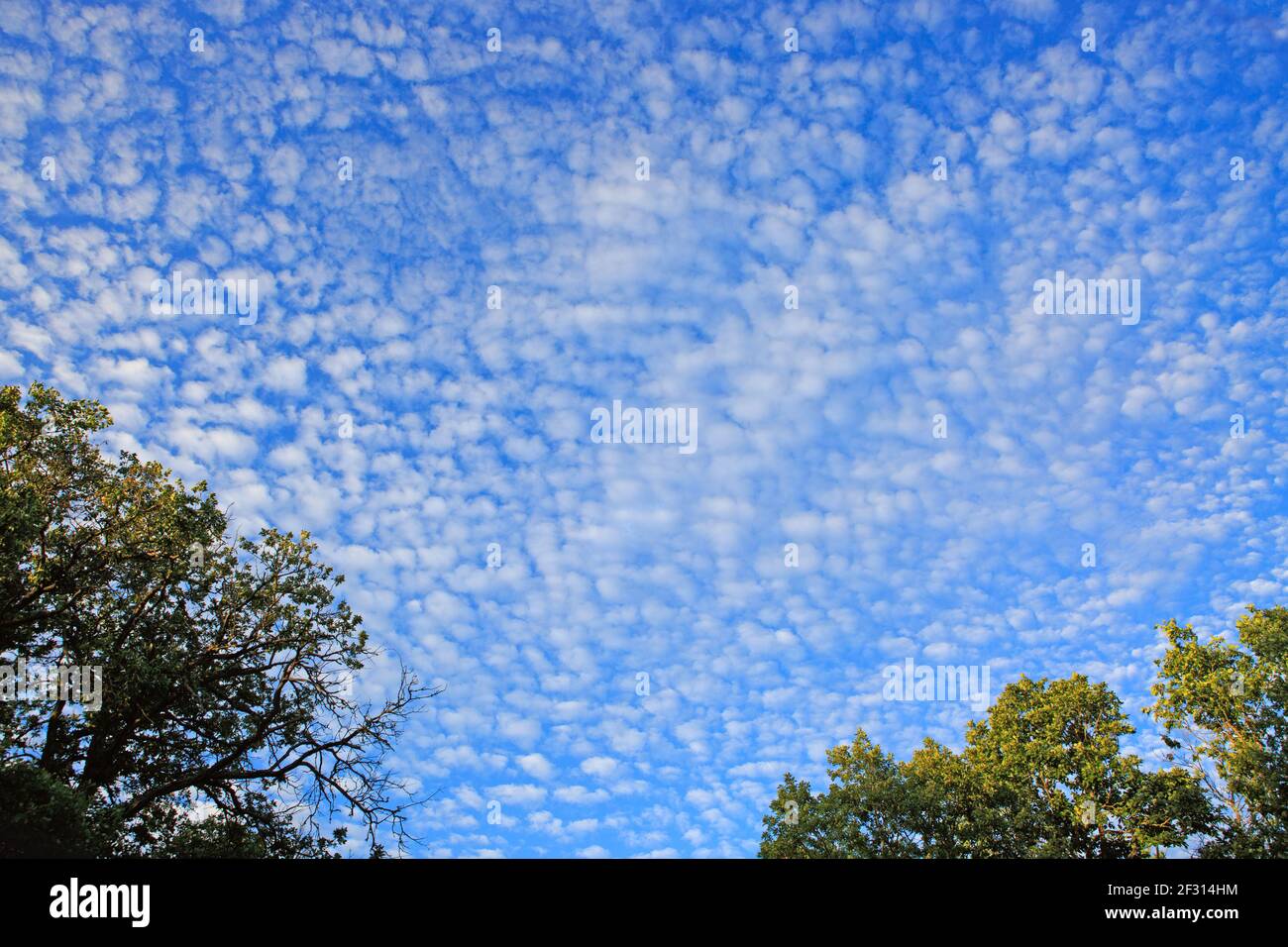 Bright sky landscape hi-res stock photography and images - Alamy