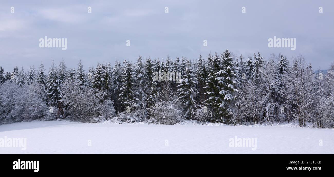 Winter landscape with trees covered with snow Stock Photo - Alamy