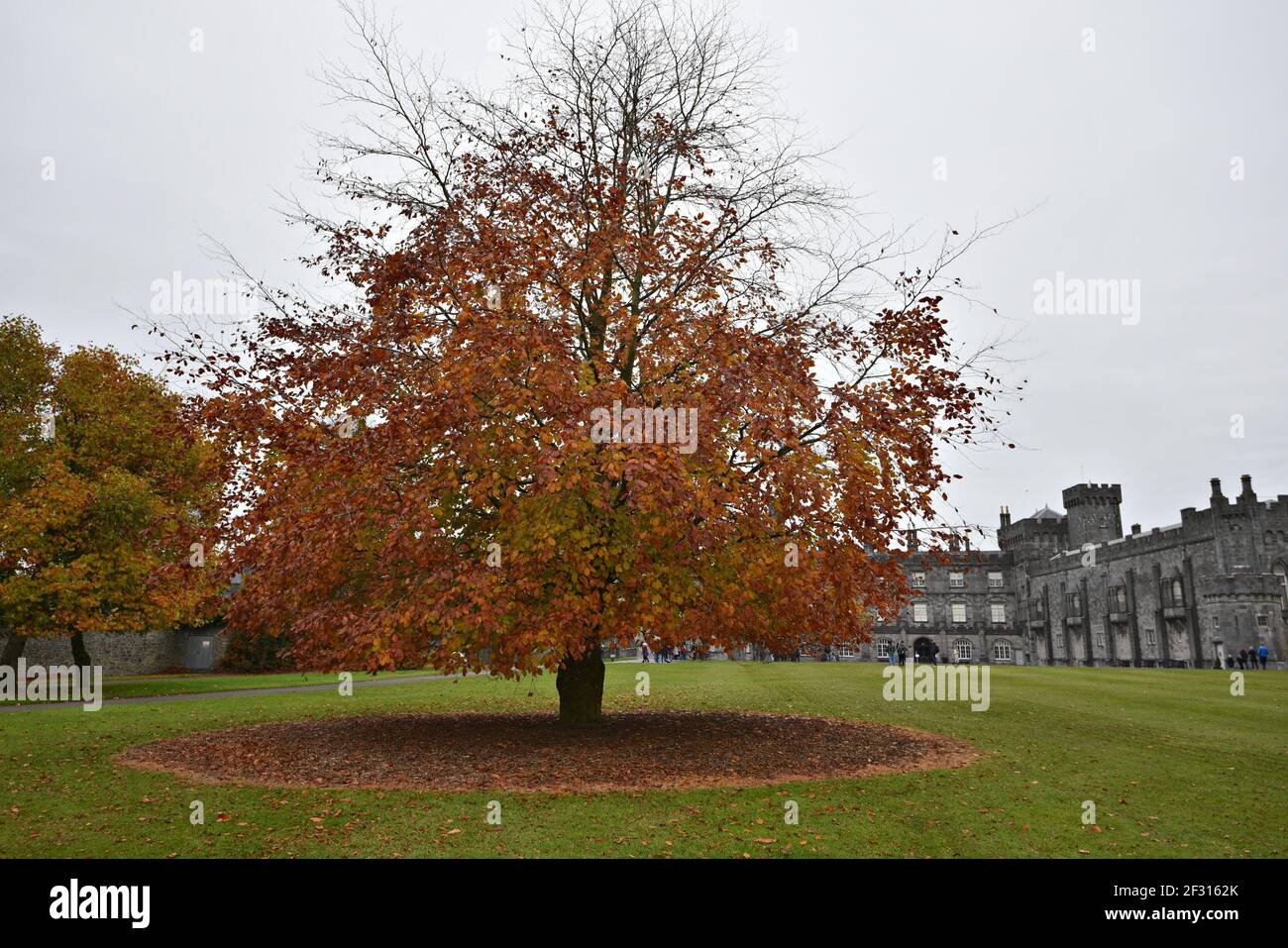 Kilkenny castle arts hi-res stock photography and images - Alamy