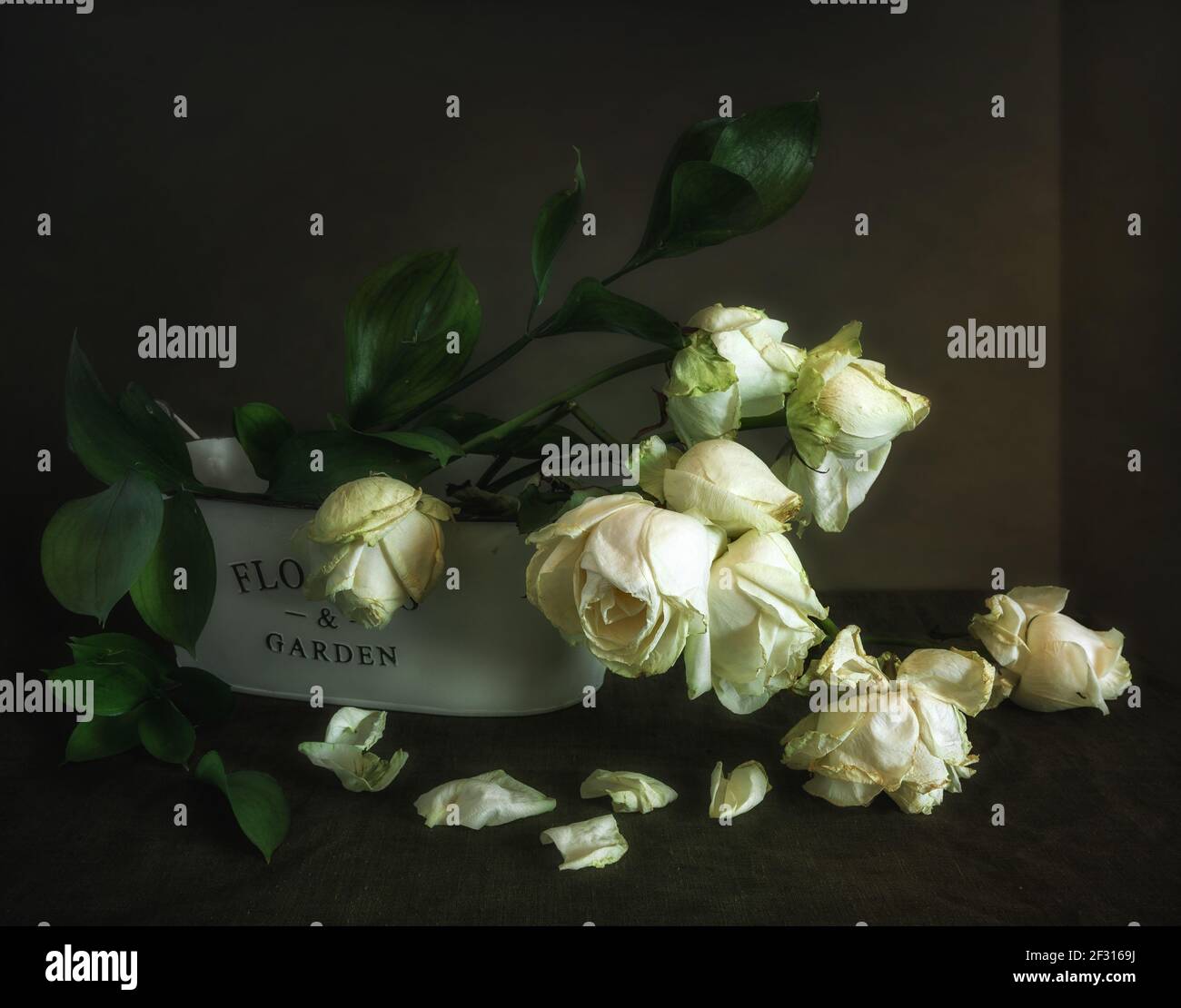 Still life with a bouquet of white withered roses. Vintage Stock Photo ...