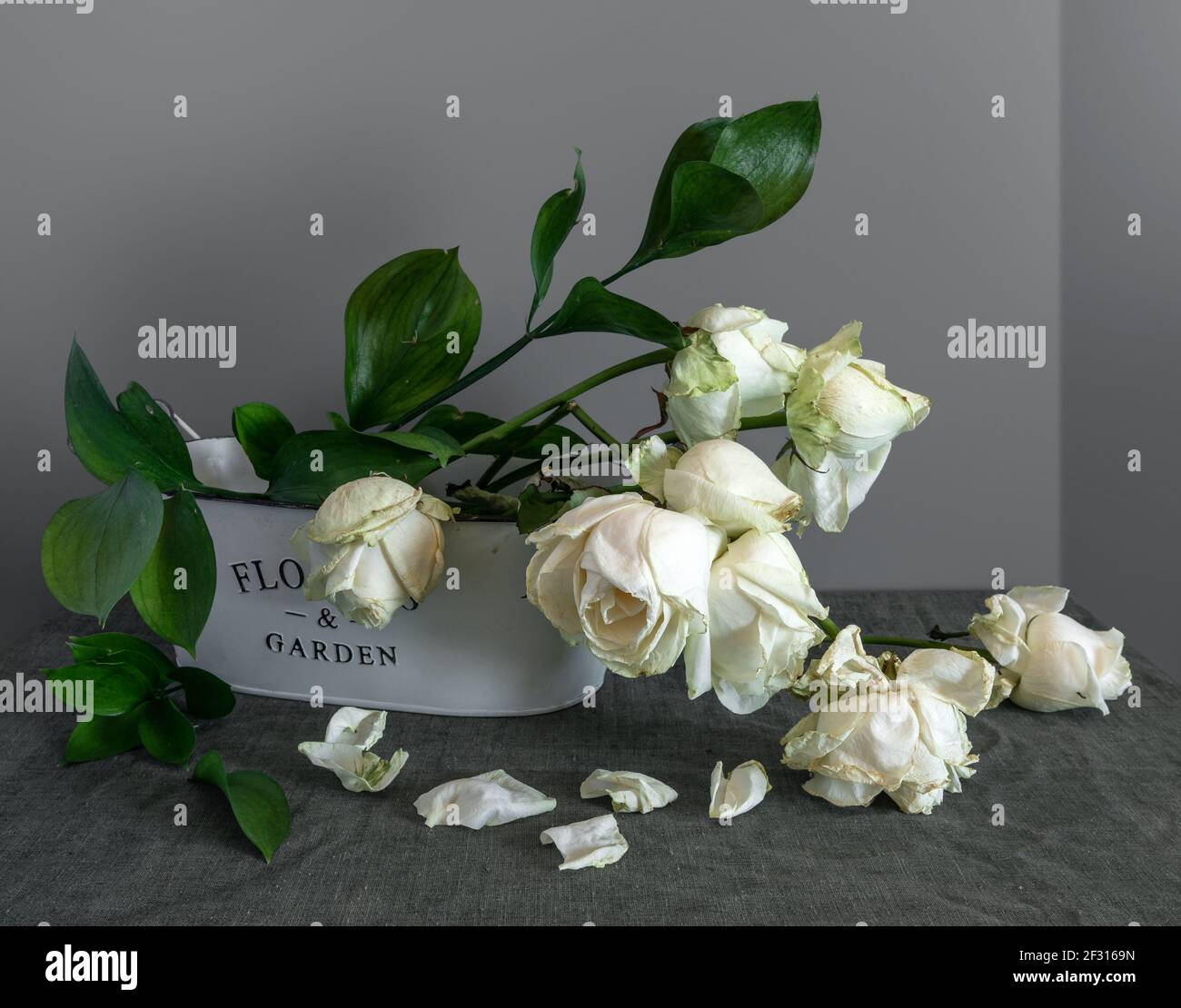 Discarded White Roses Still life with a bouquet of white withered roses. Vintage Stock Photo ...