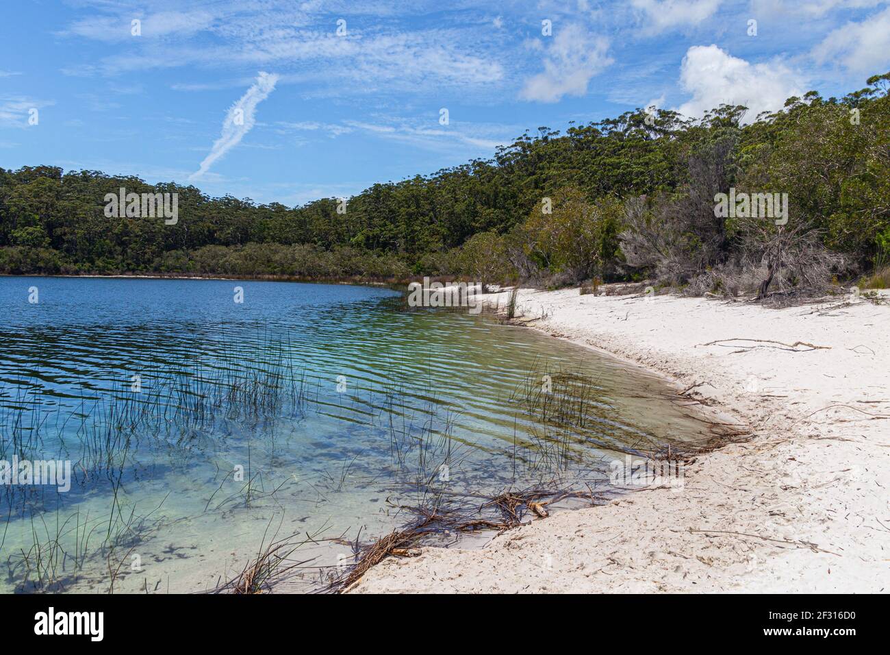 Lake McKenzie on Fraser Island in Queensland, Australia Stock Photo