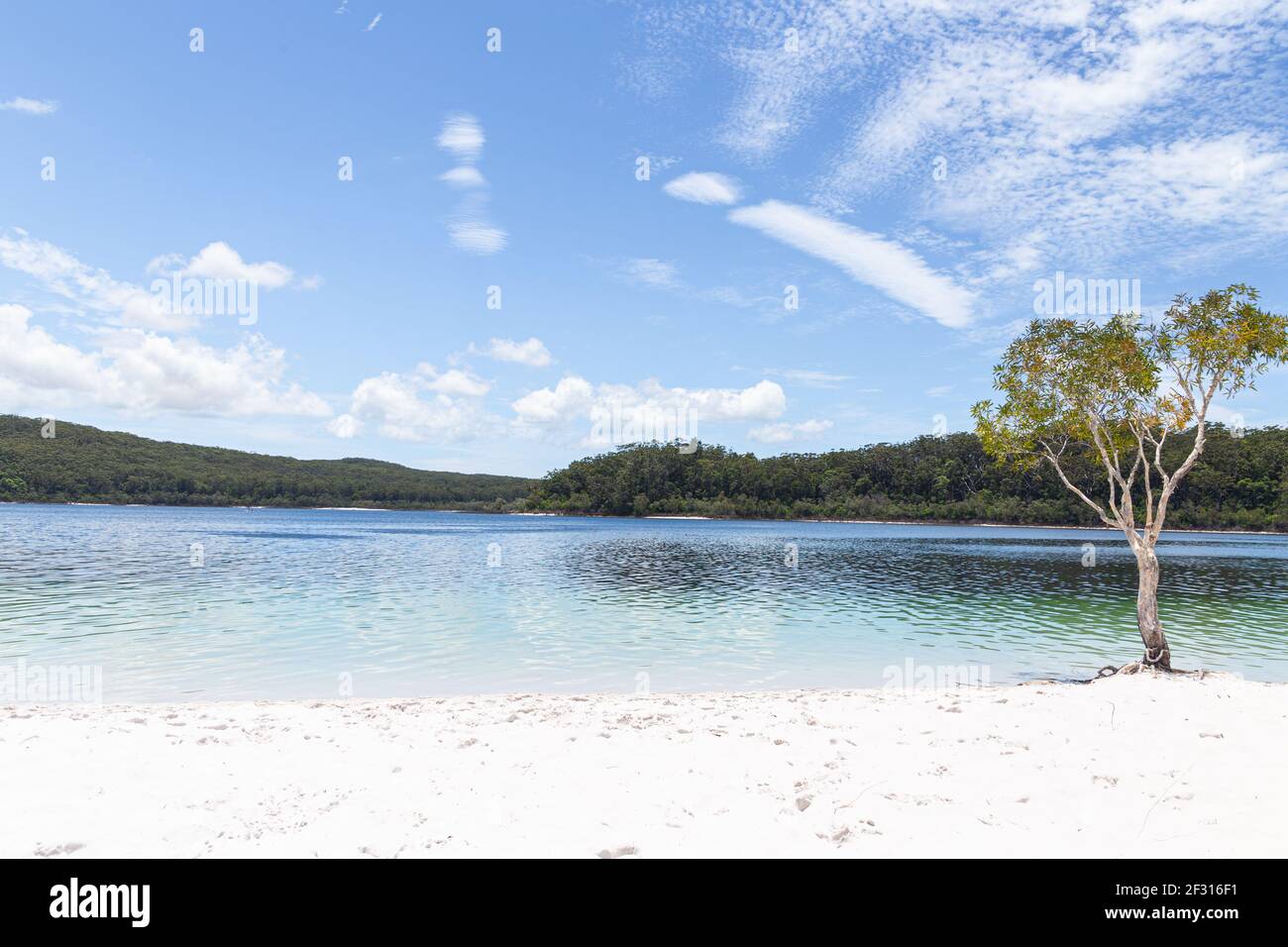 Lake McKenzie on Fraser Island in Queensland, Australia Stock Photo