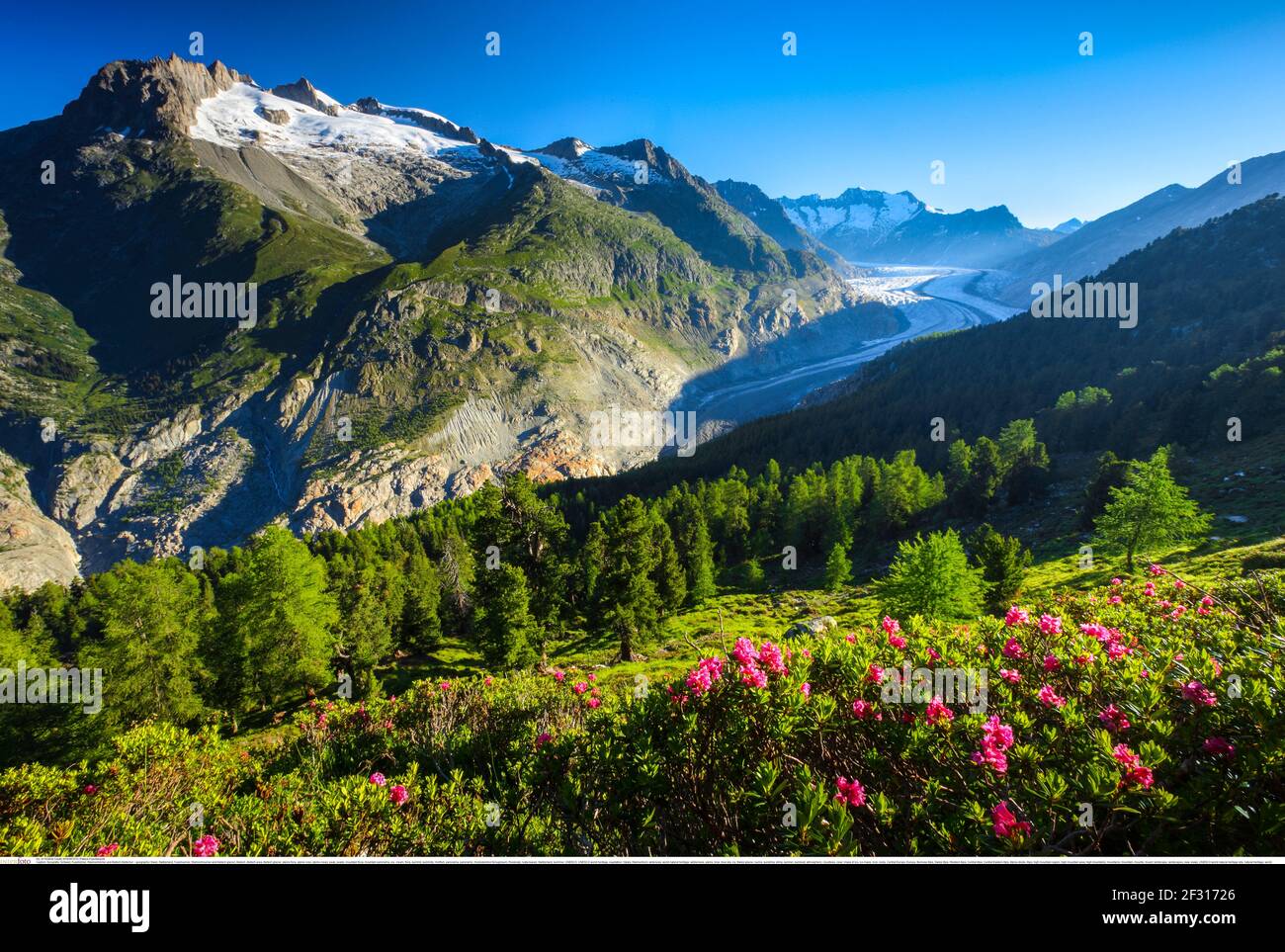geography / travel, Switzerland, Fusshoerner, Wannenhoerner and Aletsch glacier, Additional-Rights-Clearance-Info-Not-Available Stock Photo