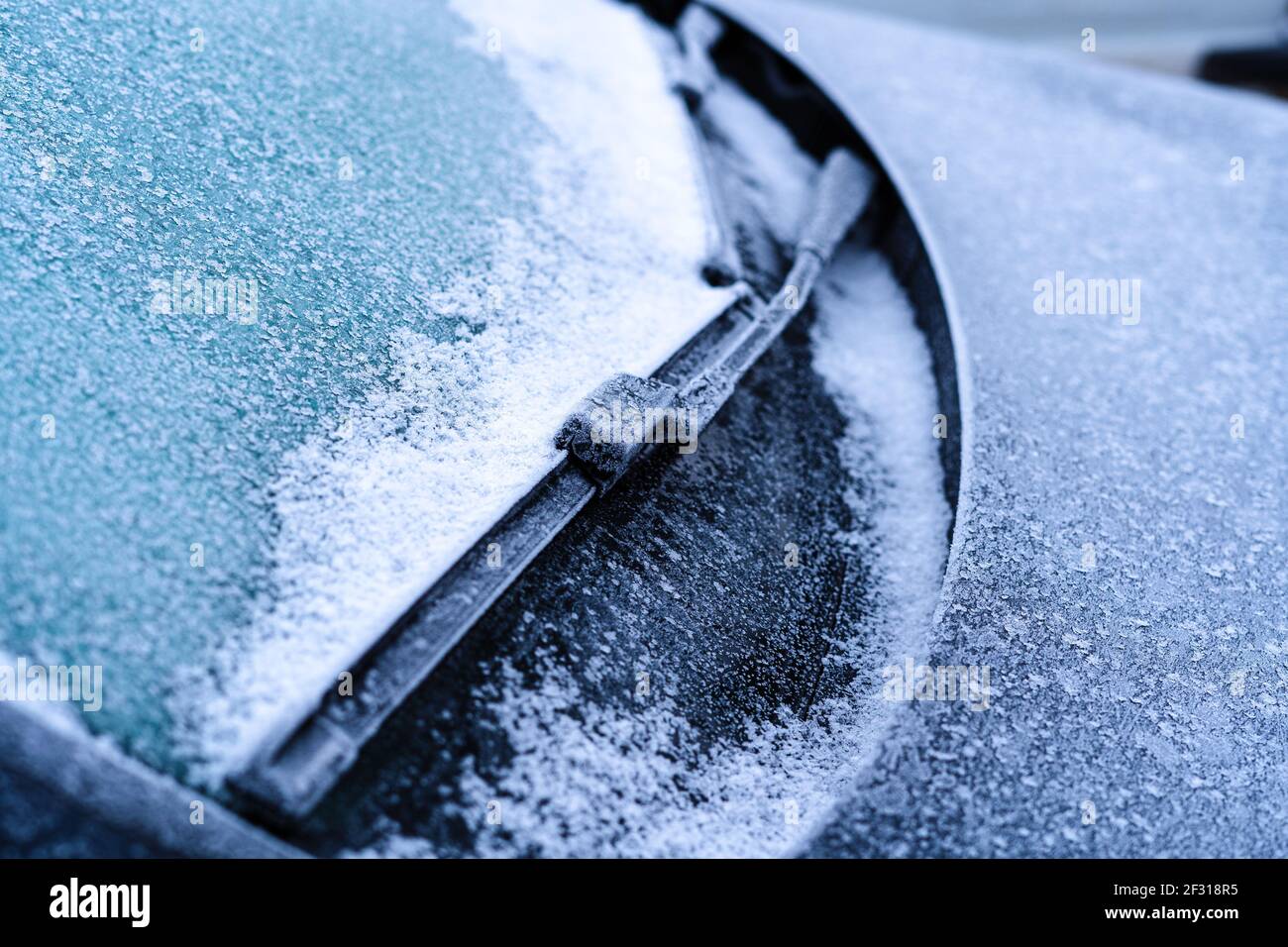 Frozen windshield wipers in winter, closeup Stock Photo Alamy