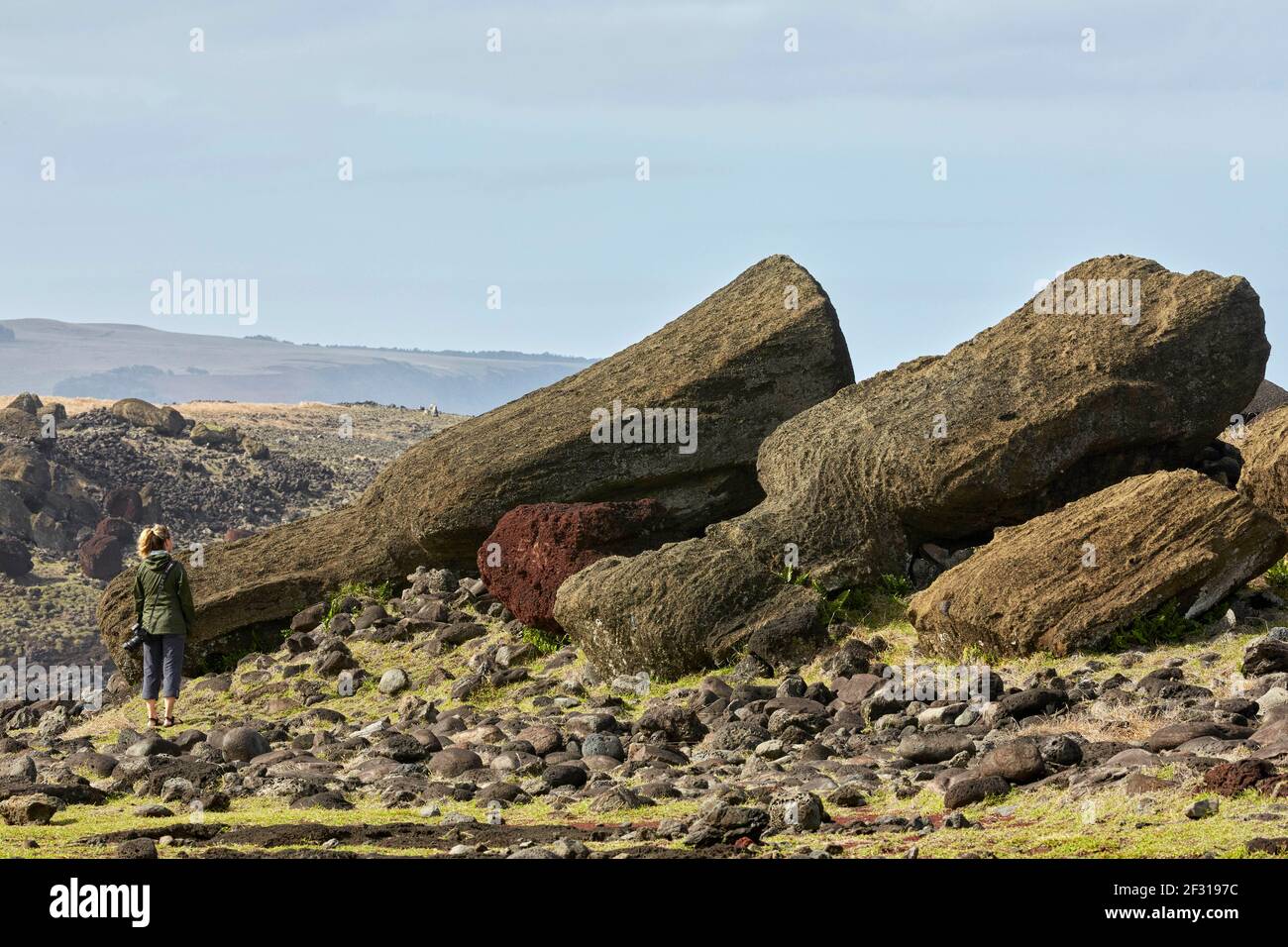 Laying Moais at Ahu Ura Uranga Te Mahina Ura-Uranga Moai fallen, Easter Island, Rapa Nui, Isla de Pascua Stock Photo