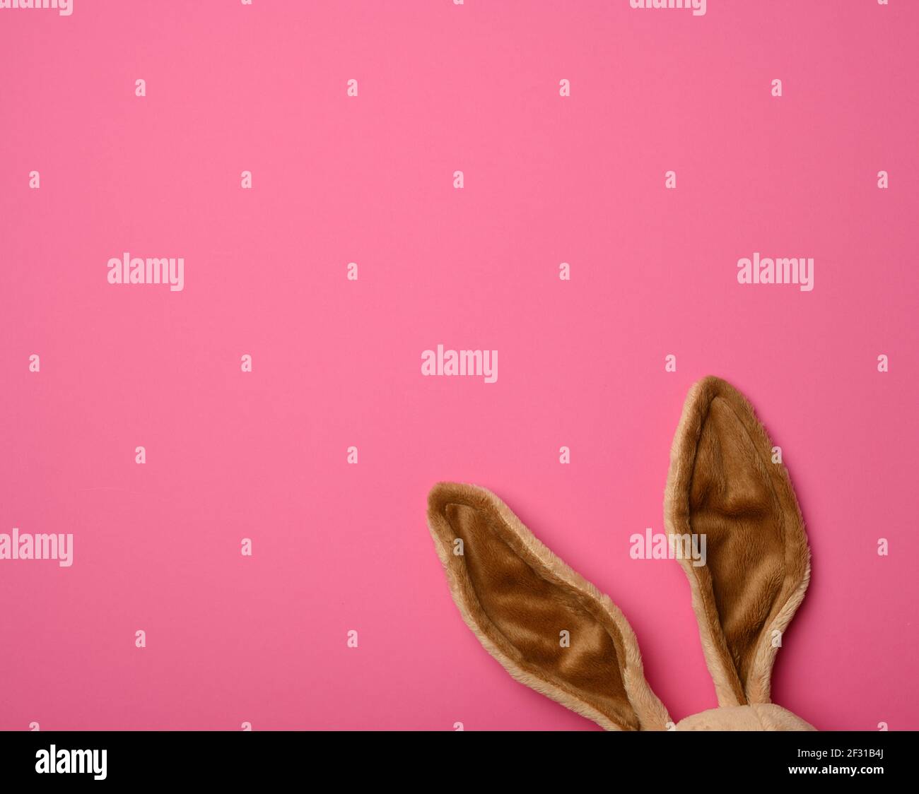 Long fur bunny ears on a pink background, Easter backdrop Stock Photo