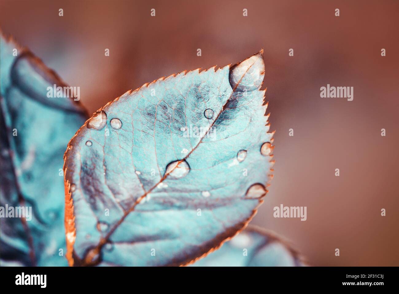 Big and small hi-res stock photography and images - Alamy