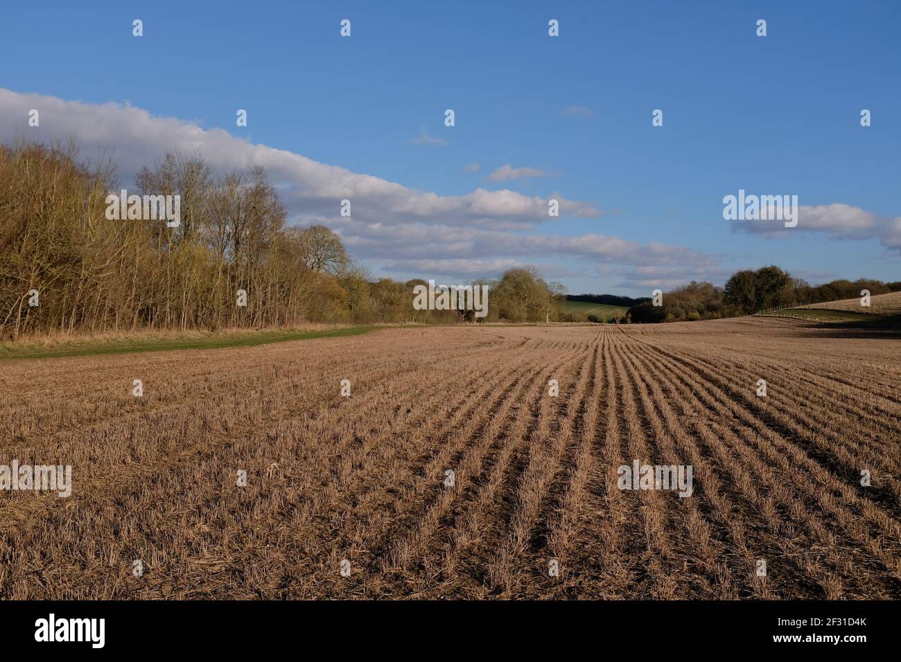 wide open sky view of large field in Newport Essex waiting for crop to show Stock Photo