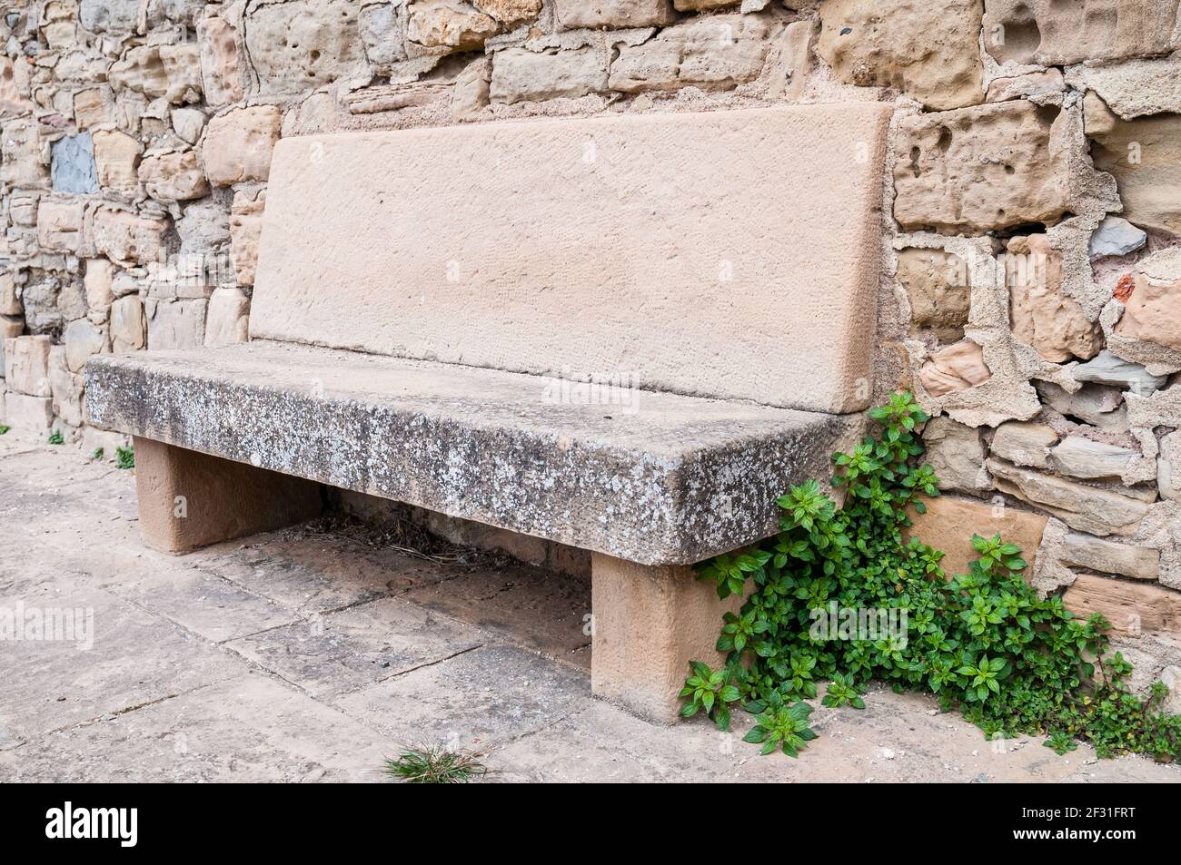 stone bench, and Parietaria officinalis on the side, Talamanca, Catalonia, Spain Stock Photo