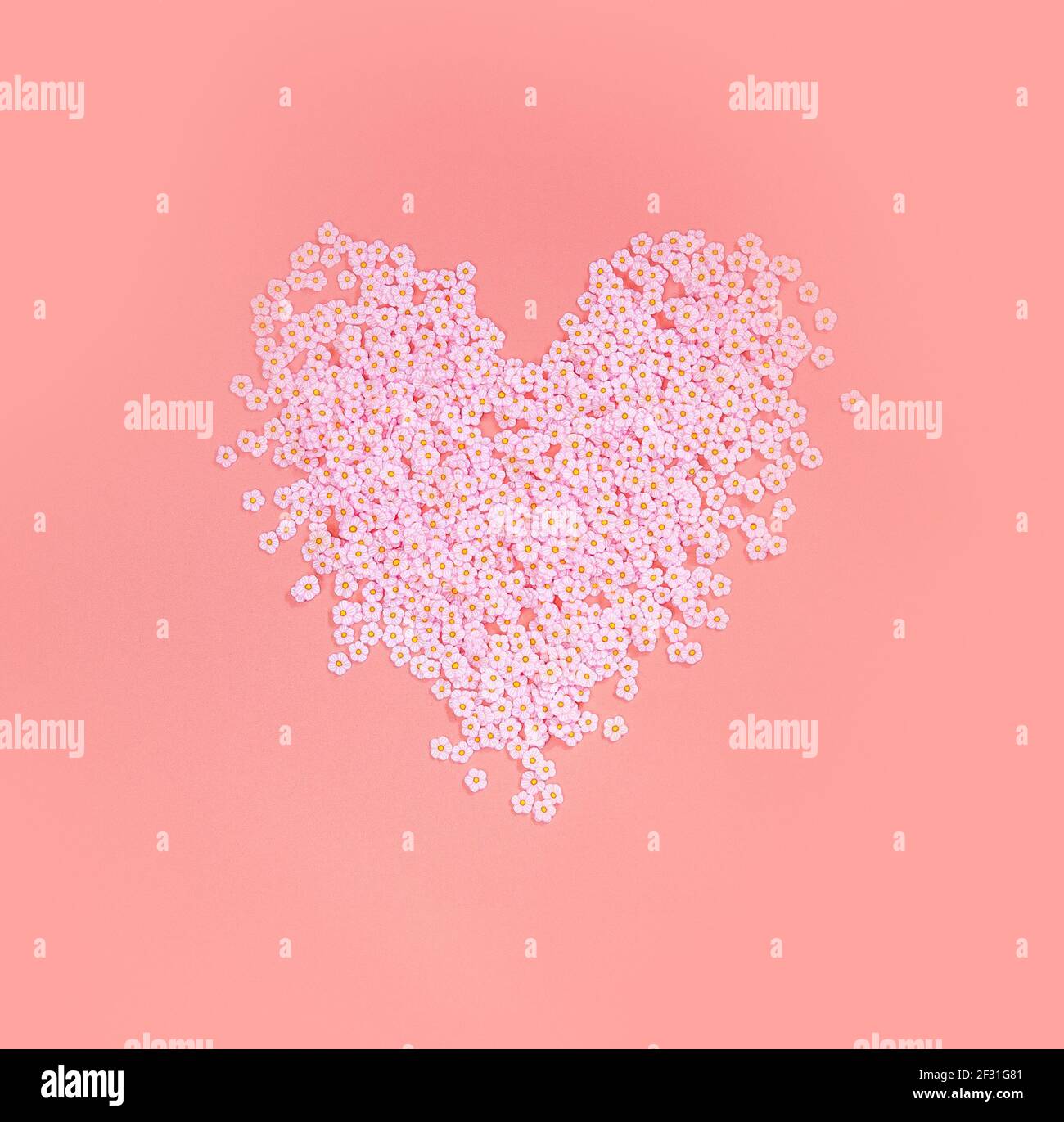 Lovely pink heart made of pink daisies flowers on colorful pastel colored background top view, Spring,Mothers Day,love, Valentines Day background Flat Stock Photo