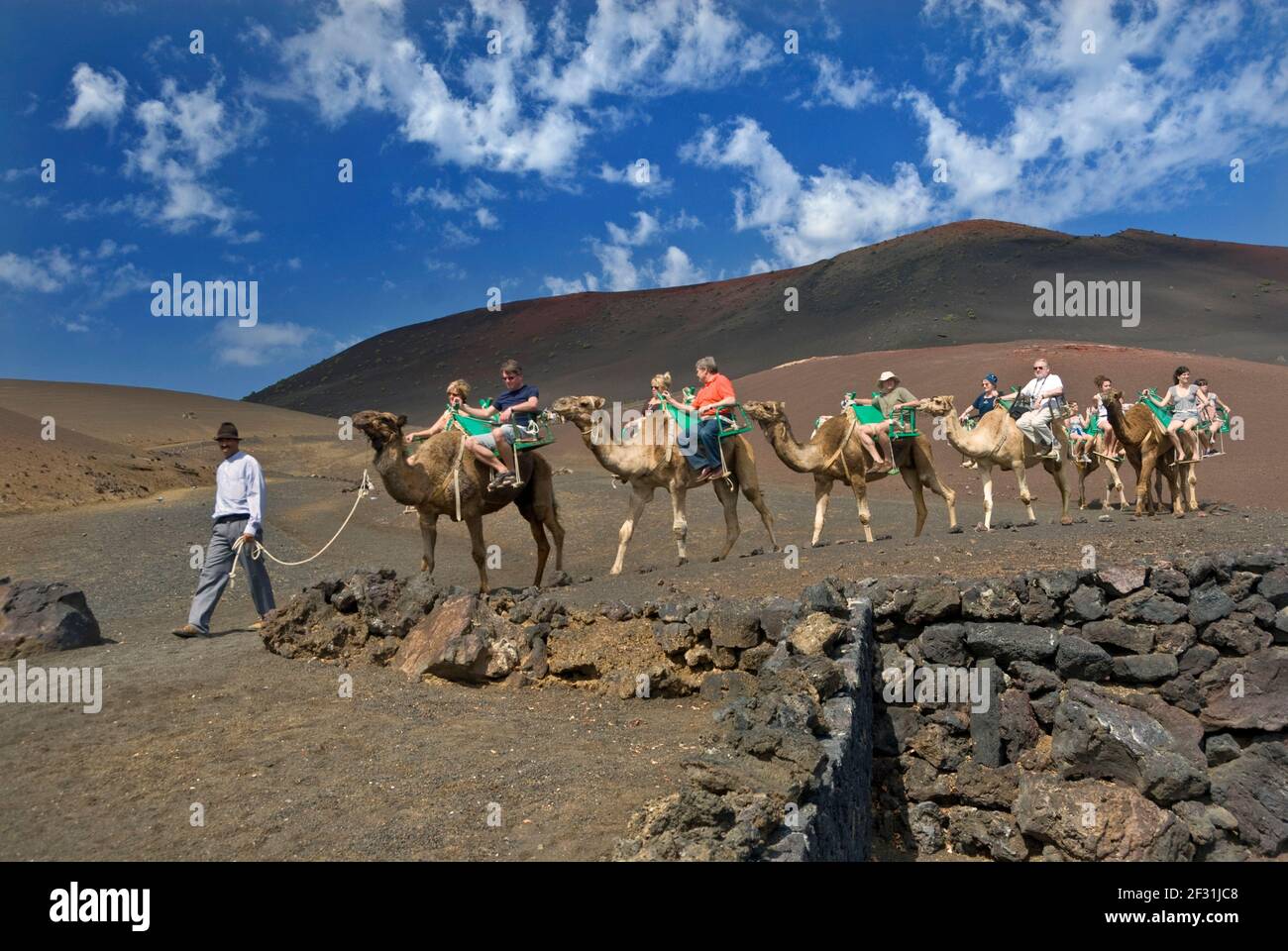 TIMANFAYA LANZAROTE Camel train trek trekking with tourists in Timanfaya National Park Lanzarote Canary Islands Spain Stock Photo