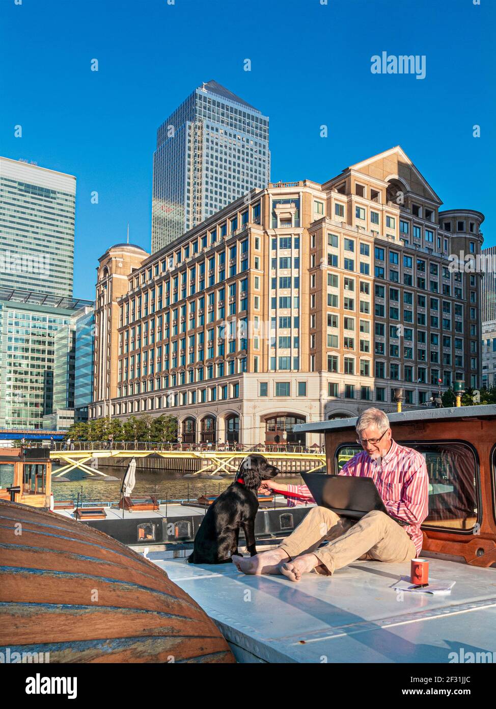 Mature man 50-55 years working on laptop computer with his spaniel dog outside on his office barge boat, offices behind Canary Wharf London E14 UK Stock Photo