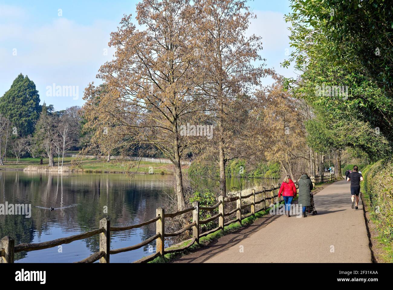 Virginia Water lake in Windsor Great Park, Surrey England UK Stock