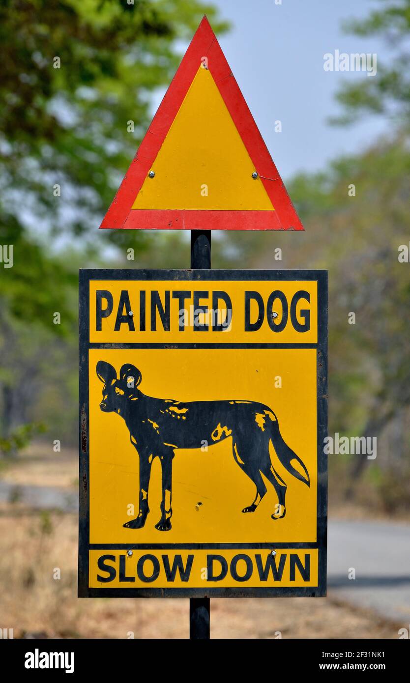 geography / travel, Zimbabwe, sign 'Achtung Afrikanische Wildhunde', Hwange-Nationalpark, nearby Hwang, Additional-Rights-Clearance-Info-Not-Available Stock Photo