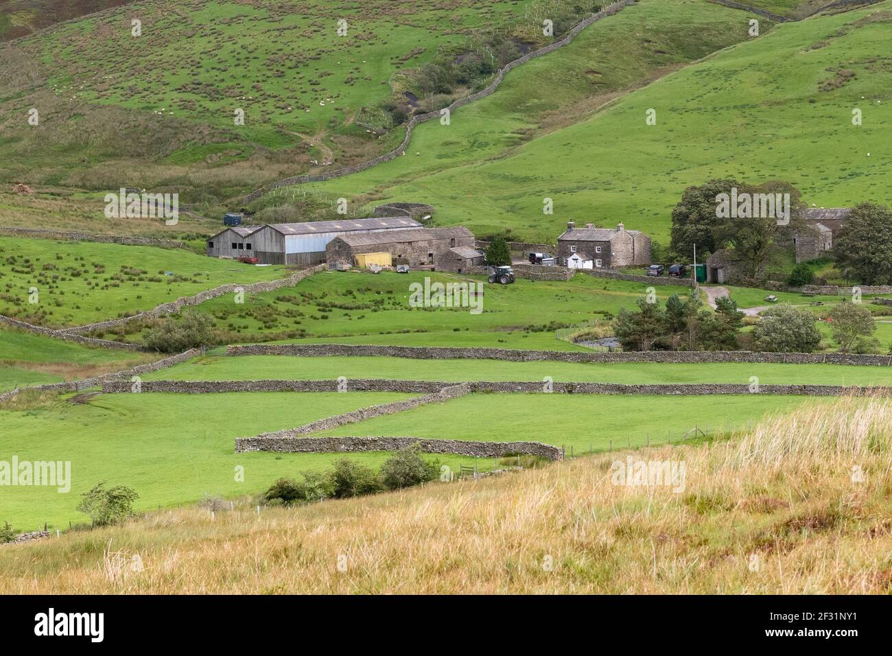 Ravenseat Farm, a Yorkshire Dales sheep farm and home to The Yorkshire Shepherdess Amanda Owen and family, Keld,  North Yorkshire, England, UK Stock Photo