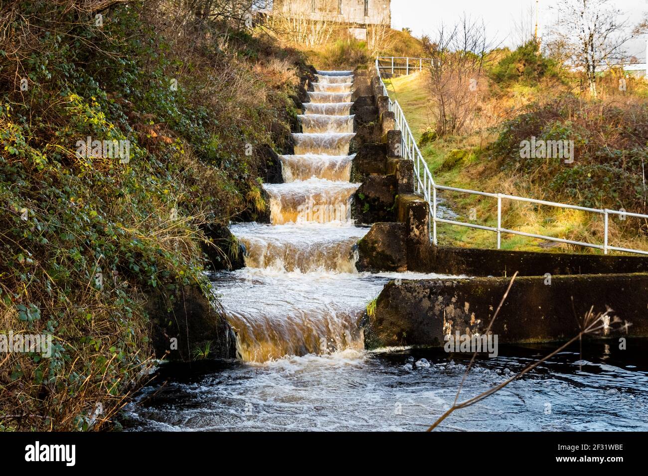 Earlstoun salmon ladder or fish pass, at Earlstoun Power Station and