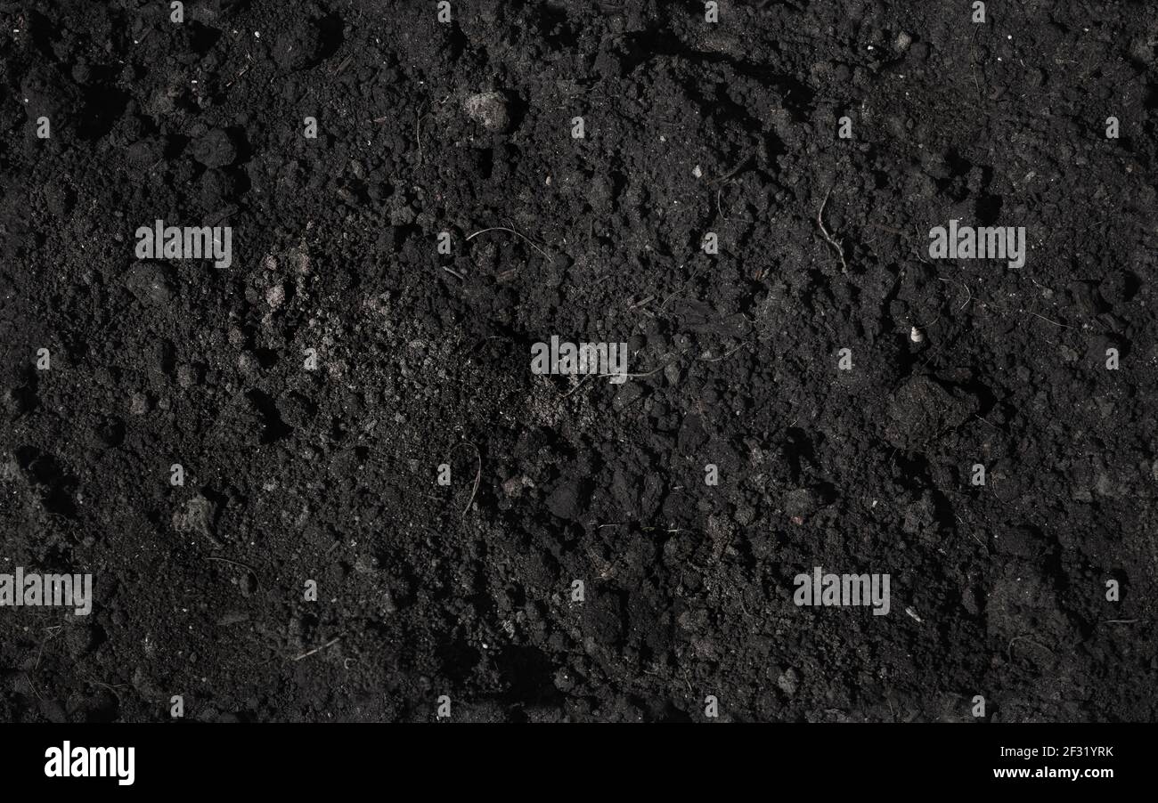 Chernozem, dark type of natural soil, seamless background photo texture  Stock Photo - Alamy