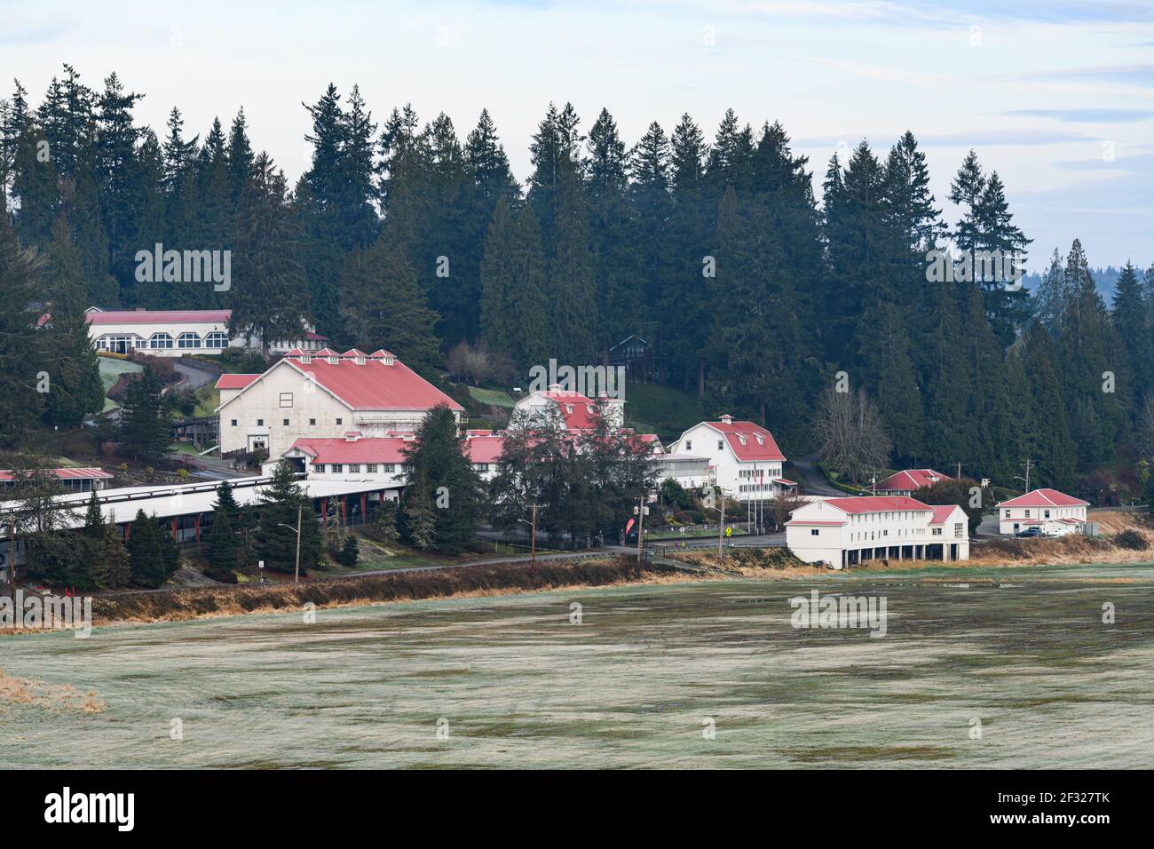 Carnation Farms in the Snoqualmie Valley on a misty morning with its traditional red roofs.  Original home of the contented cows and their milk Stock Photo