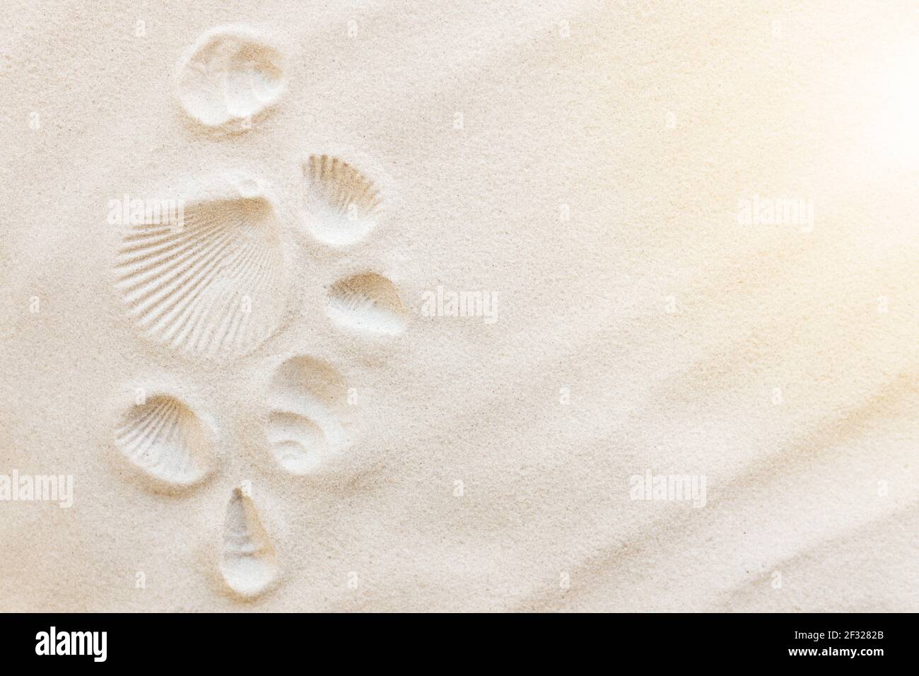 Travel, vacation concept. Sea shells on sand and blue background. Travelling, trip. Travel text. High quality photo Stock Photo