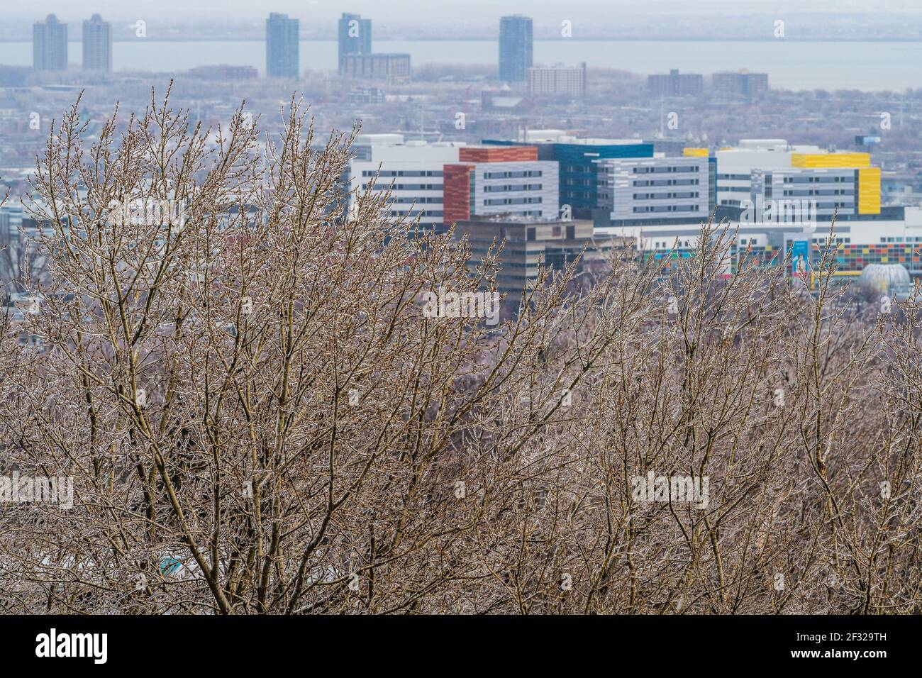 Montreal freezing rain hi-res stock photography and images - Alamy