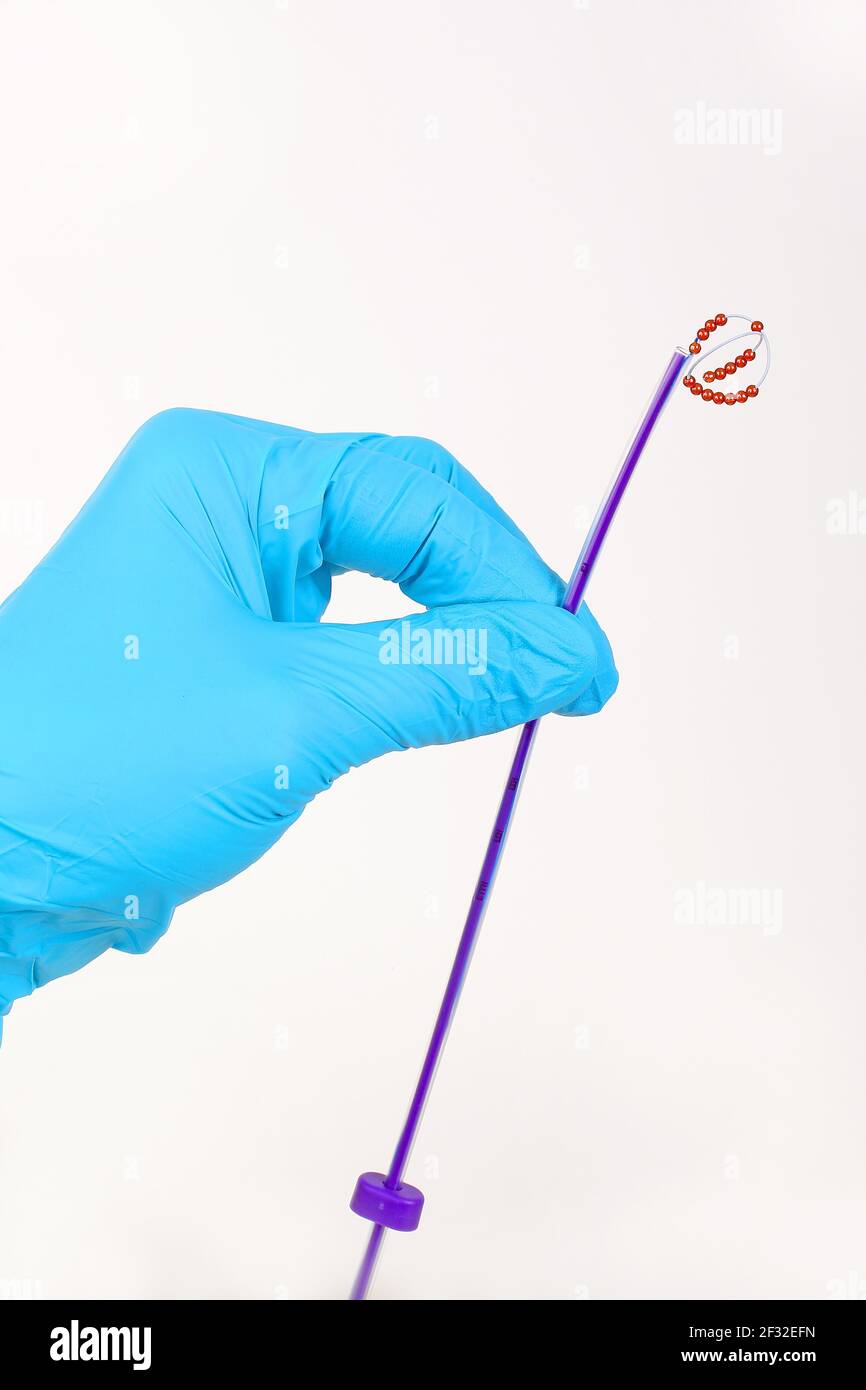 Iub hires stock photography and images Alamy