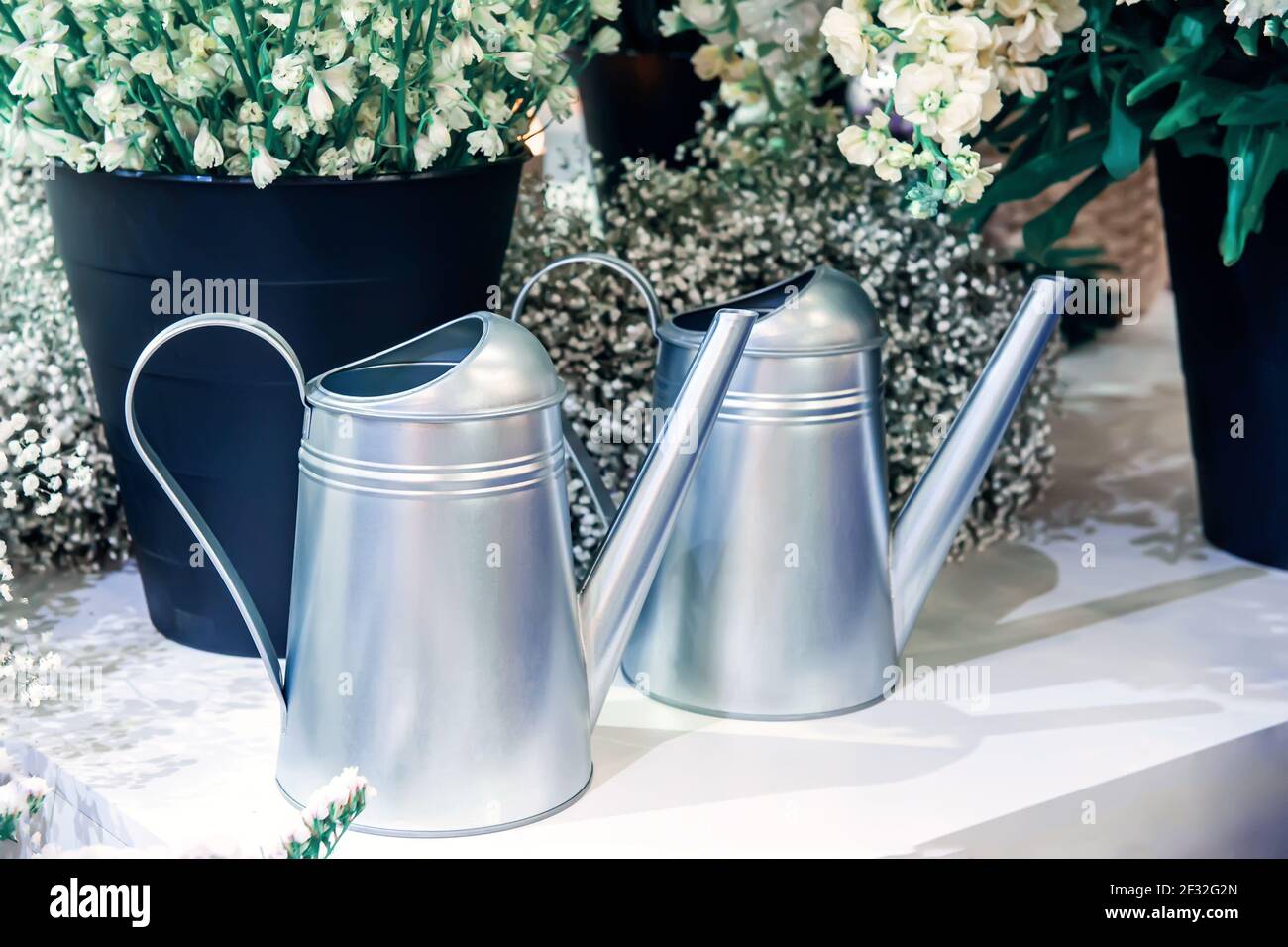 Garden metal watering cans are sold in the hardware store on the retail shelf. the concept of care for indoor and garden plants. Stock Photo