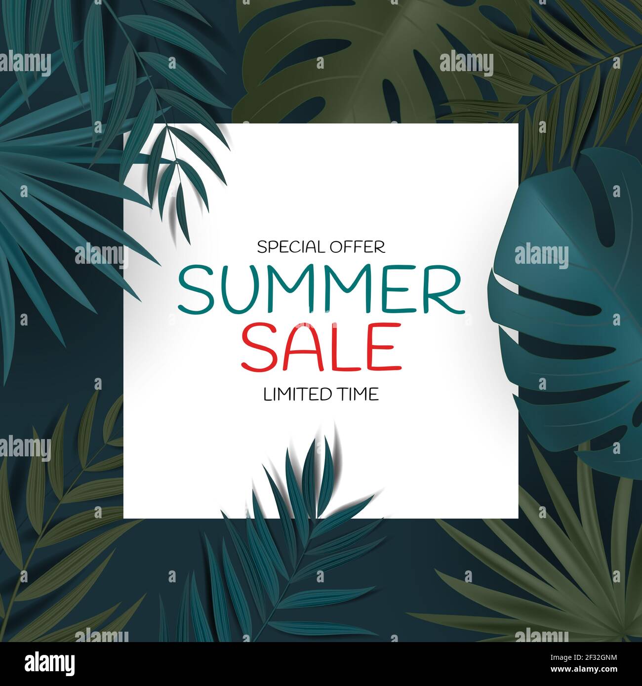 Abstract Natural Summer Sale Background with Tropical Palm and Monstera ...