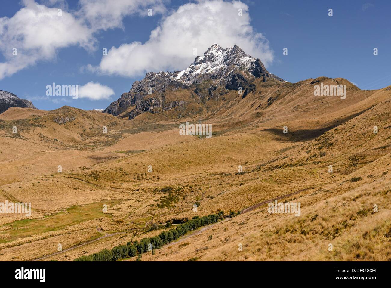 Andean paramo on the hiking way to the summit of snow-capped Pichincha volcano on sunny day. A short hike takes you into wild and serene Andean moors. Stock Photo
