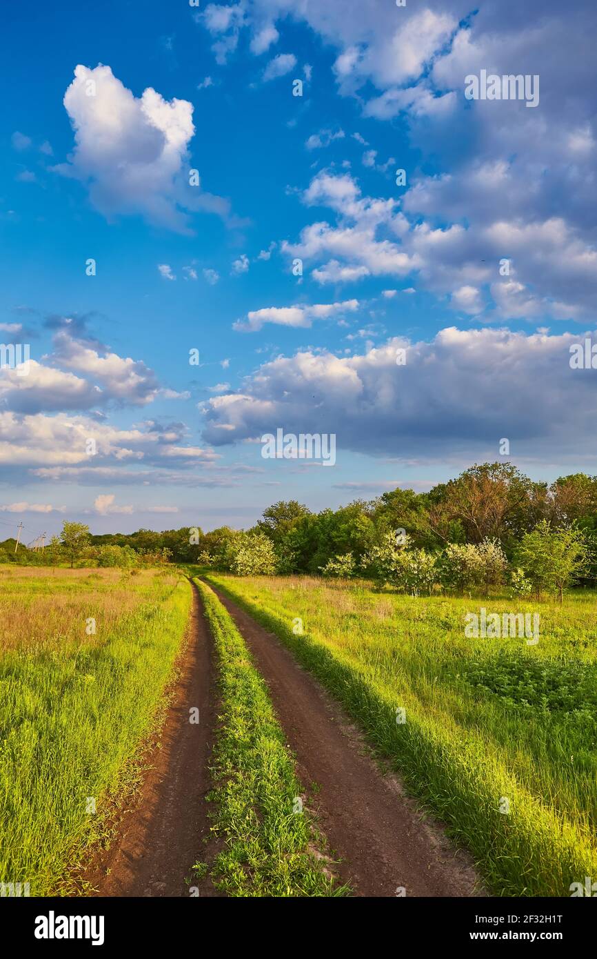 Summer landscape with green grass, road and clouds Stock Photo - Alamy