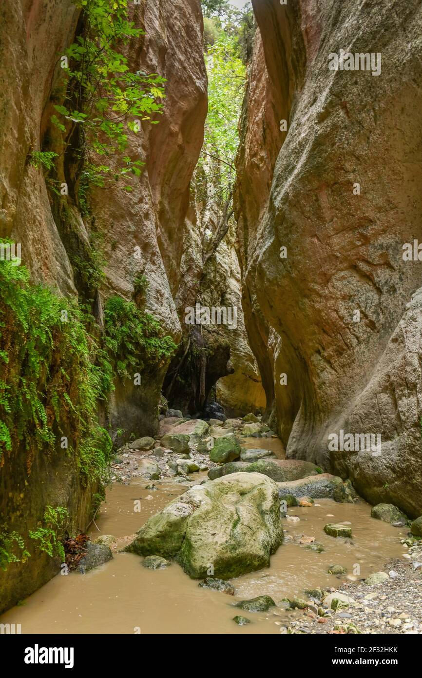 Akamas nature reserve cyprus hi-res stock photography and images - Alamy