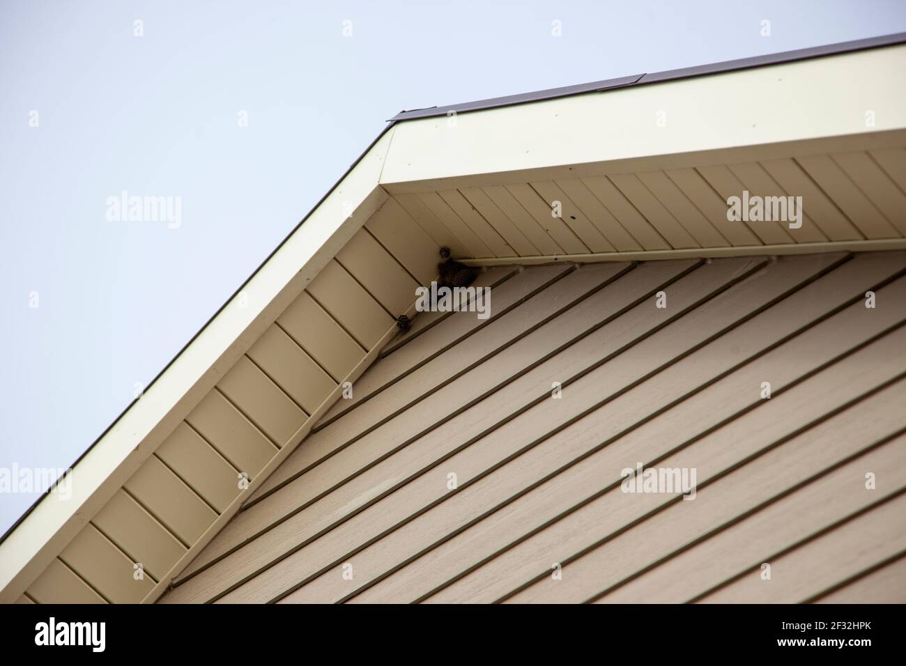 a peaked roof with a wasp or hornets nest underneath the roof in the corner Stock Photo