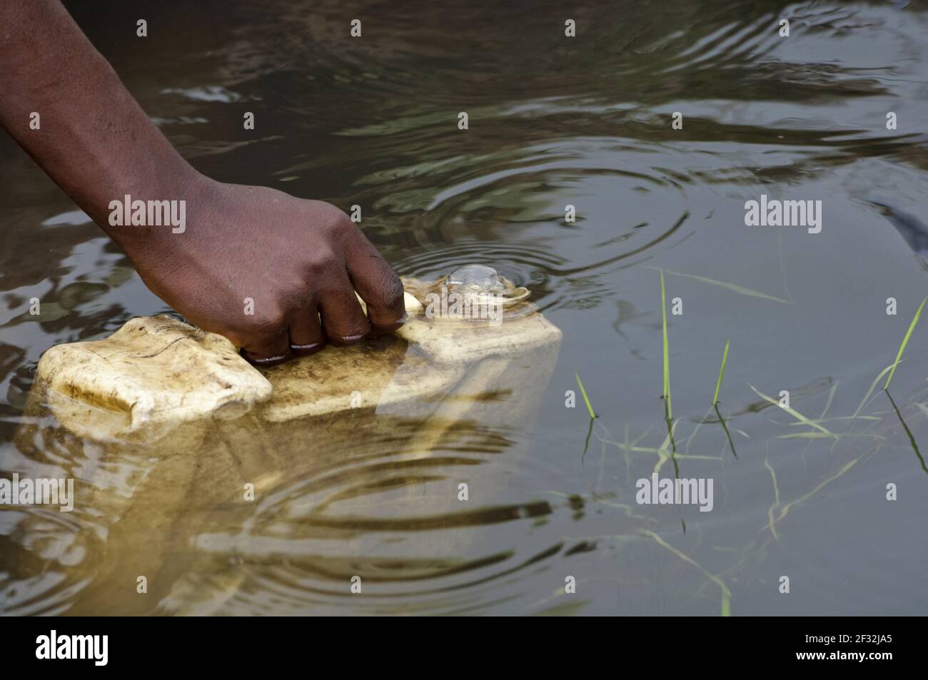 Collecting container of water from dirty pool of water, Uganda Stock Photo