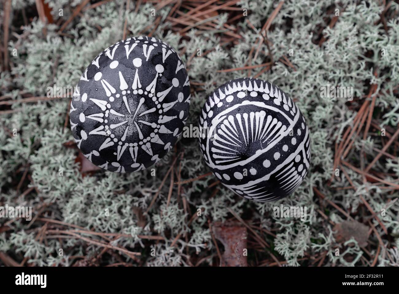 Two artistically white and black waxed Easter eggs according to Lithuanian tradition on gray moss. Selective focus, top view, closeup. Stock Photo