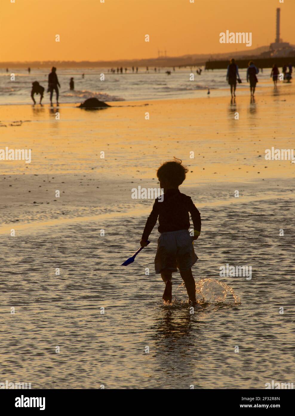 Brighton and Hove beach at low tide. Silhouette of paddling toddler on the sand with spade at sunset. East Sussex, England Stock Photo