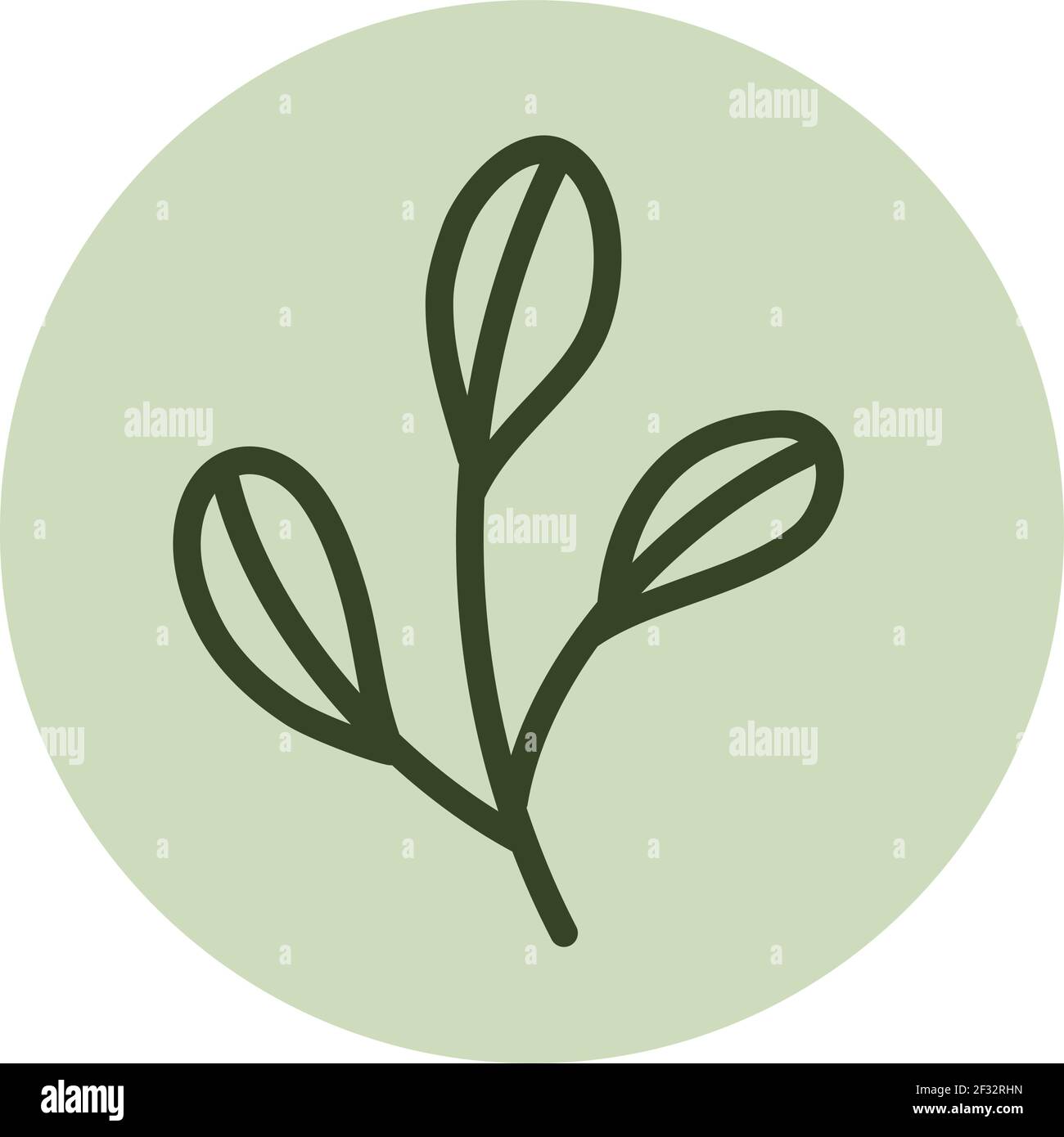 Three leaves, illustration, vector on a white background Stock Vector ...