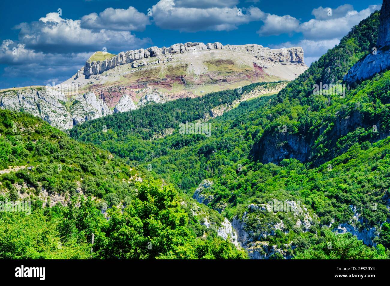 Mountains and forest landscape view. Stock Photo