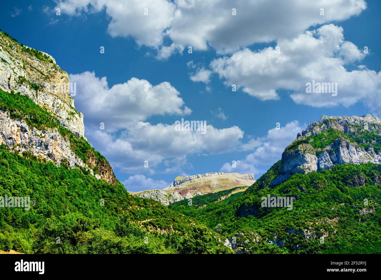 Mountains and forest landscape view. Stock Photo