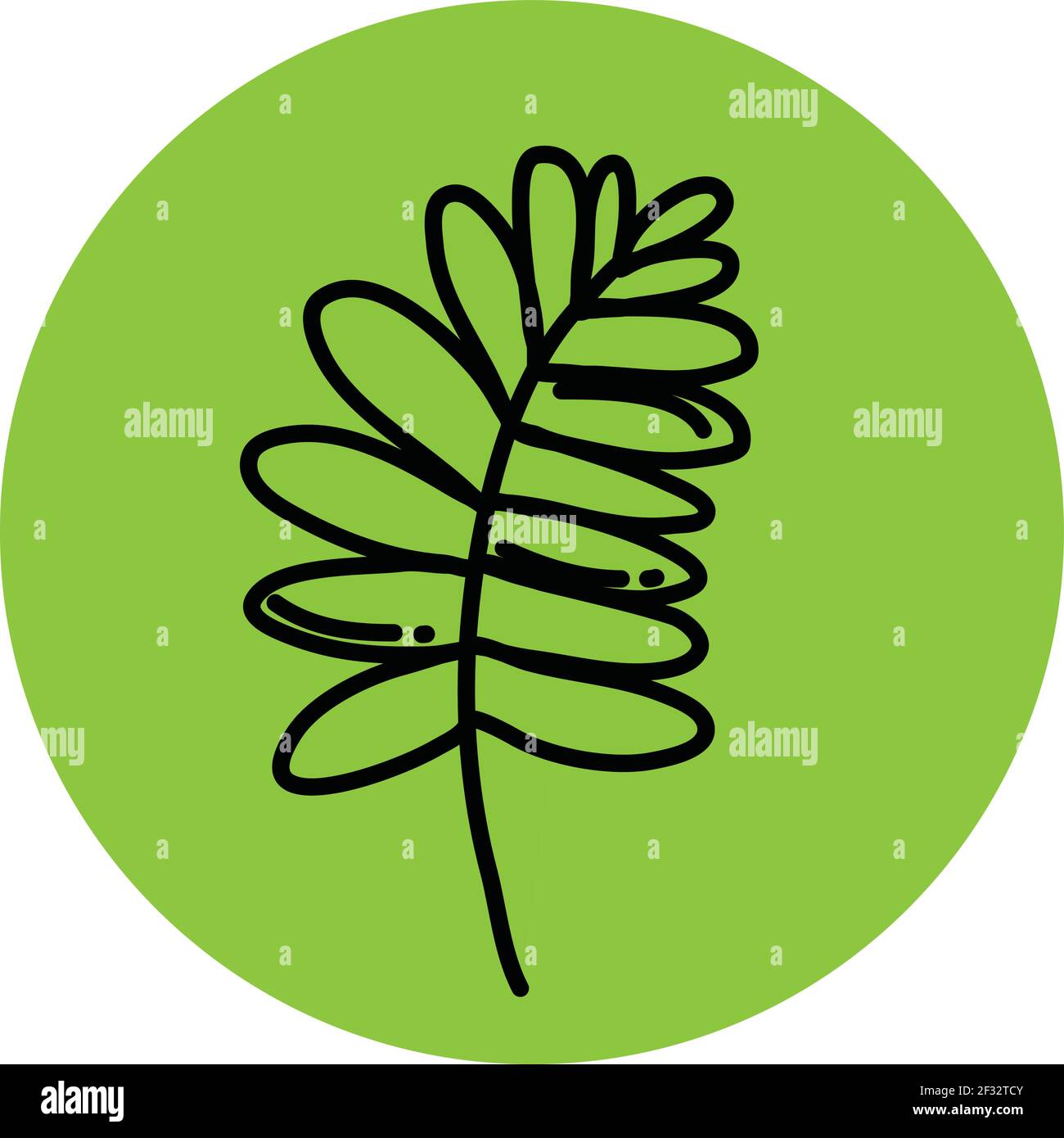 Decorative leaf illustration hi-res stock photography and images - Alamy