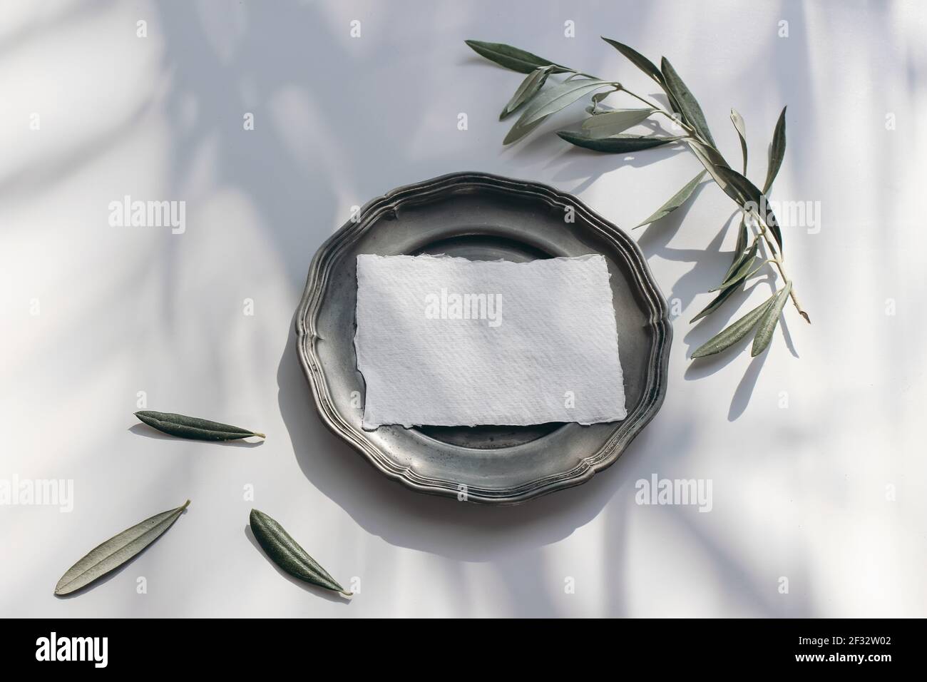 Summer wedding stationery mock-up scene. Blank business card, invitation in sunlight. Silver plate with olive branches in sunligh isolated on white Stock Photo