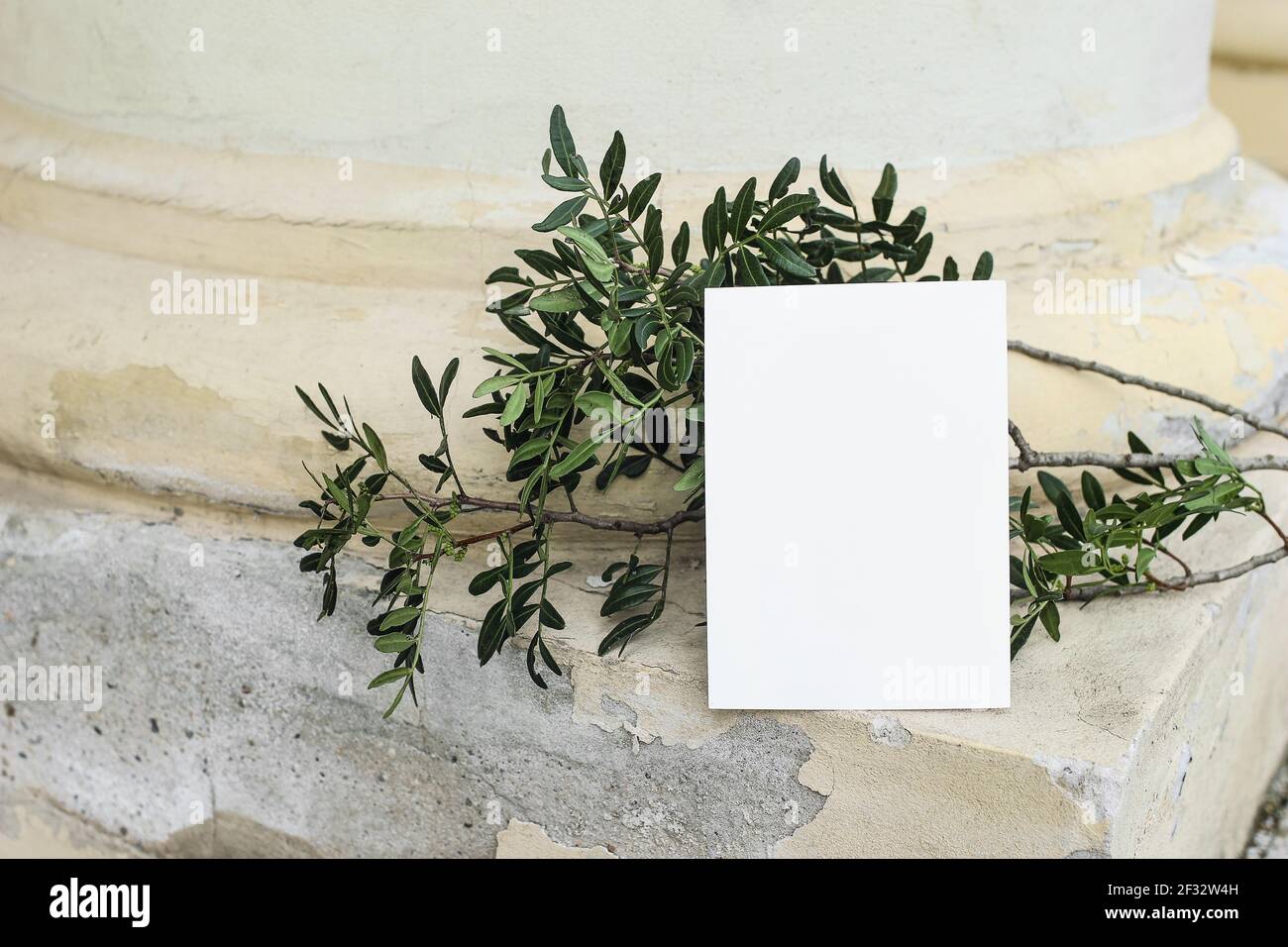 Blank greeting card mockup. Summer still life scene with green lentisk branch against old yellow shabby wall. Exotic architecture, ancient pillar Stock Photo